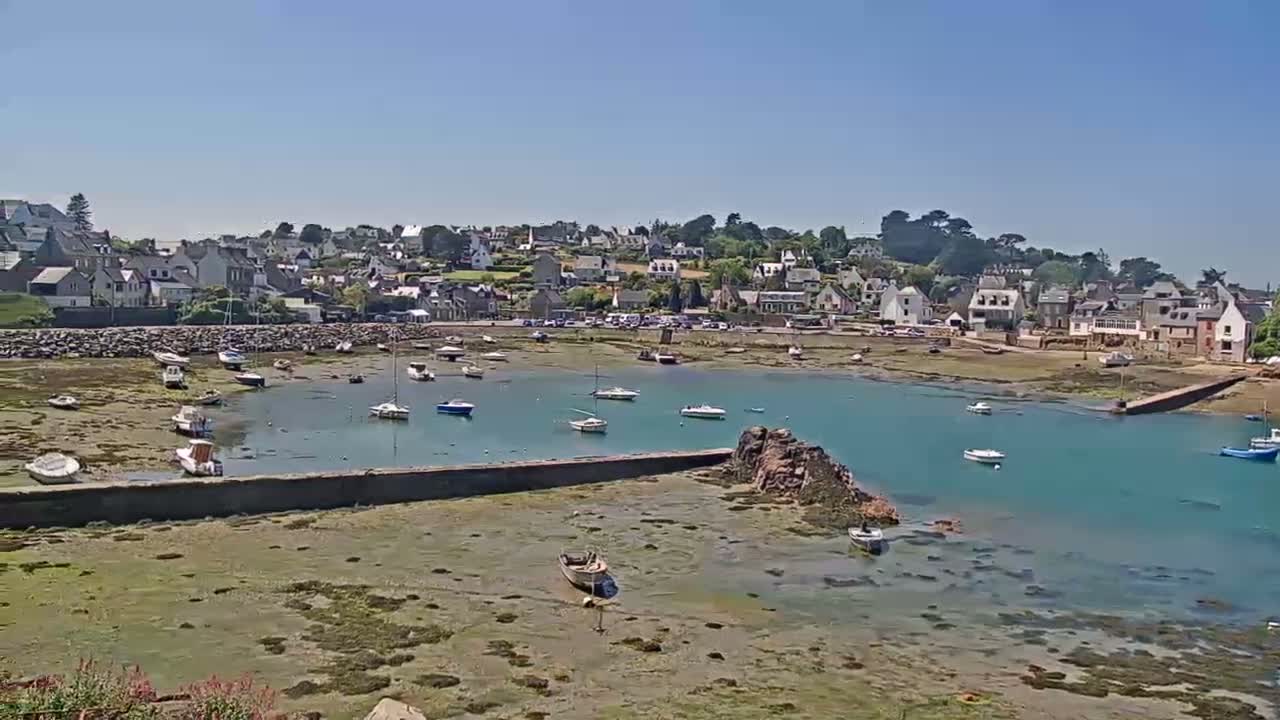 A small harbor with numerous boats is nestled in a coastal town on a sunny day, with exposed mudflats visible at low tide.