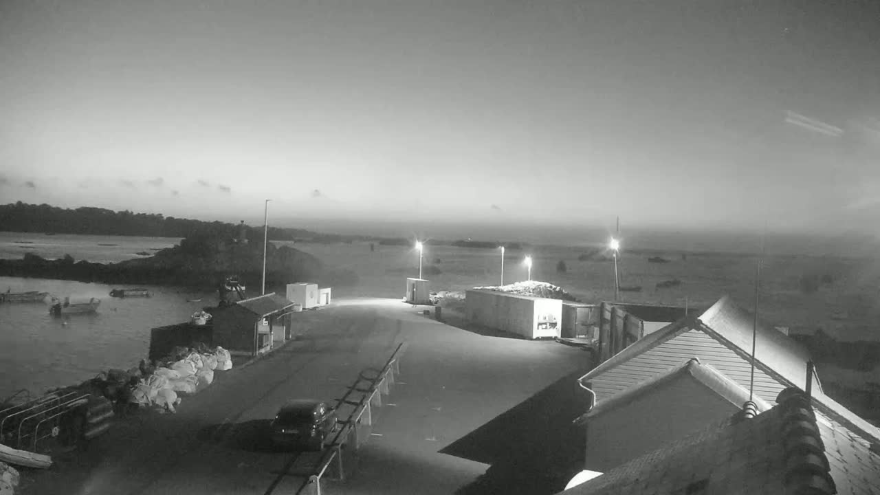 A nighttime, grayscale view of a harbor with several small boats, buildings, and lights, under a mostly clear sky.