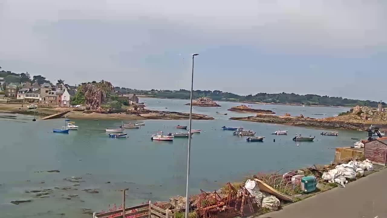 A calm, sunny day reveals a small harbor filled with fishing boats, nestled beside a village and rocky coastline.