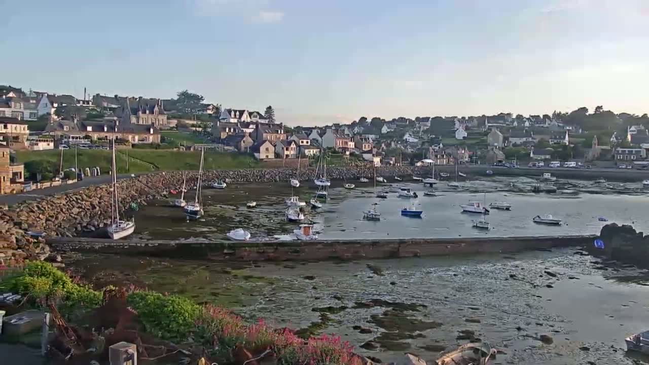 A small harbor filled with sailboats and motorboats at low tide, nestled next to a hillside town under a clear, sunny sky.