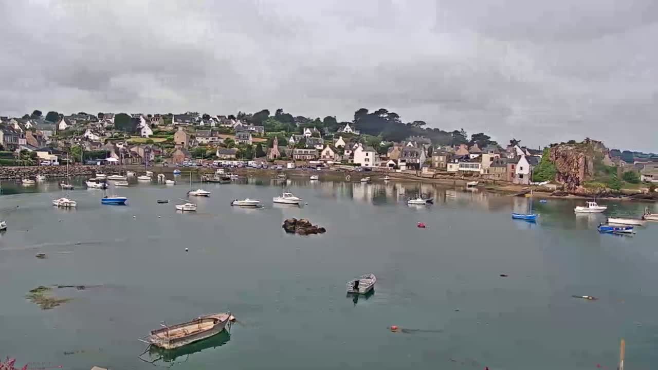 A calm harbor filled with numerous boats is situated in front of a small town nestled on a hillside under an overcast sky.