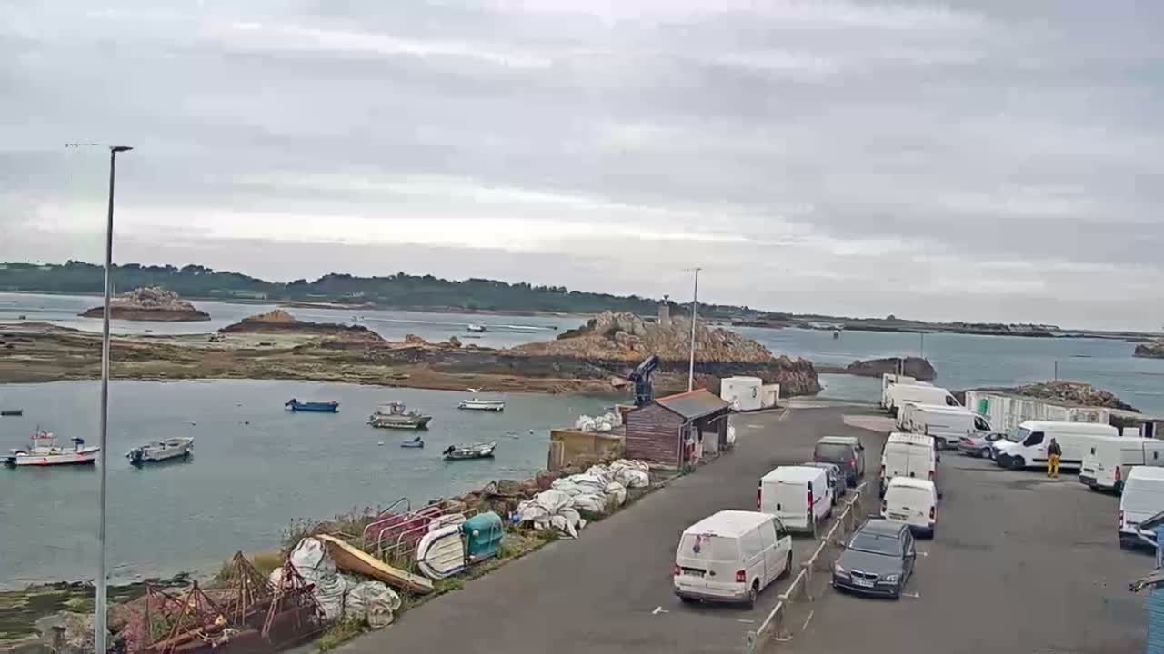 A small harbor with several boats and numerous white vans parked along a paved area, overlooking a rocky island under an overcast sky.