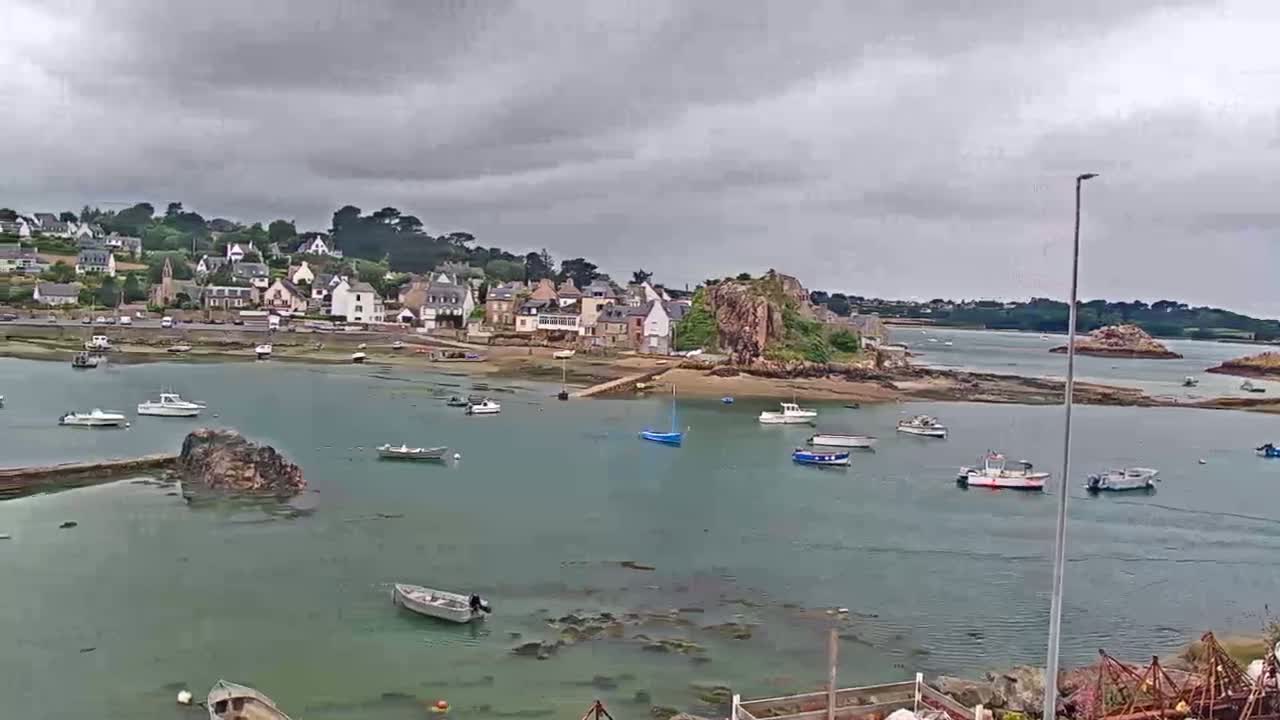A small coastal town with numerous boats in a calm harbor under an overcast sky.