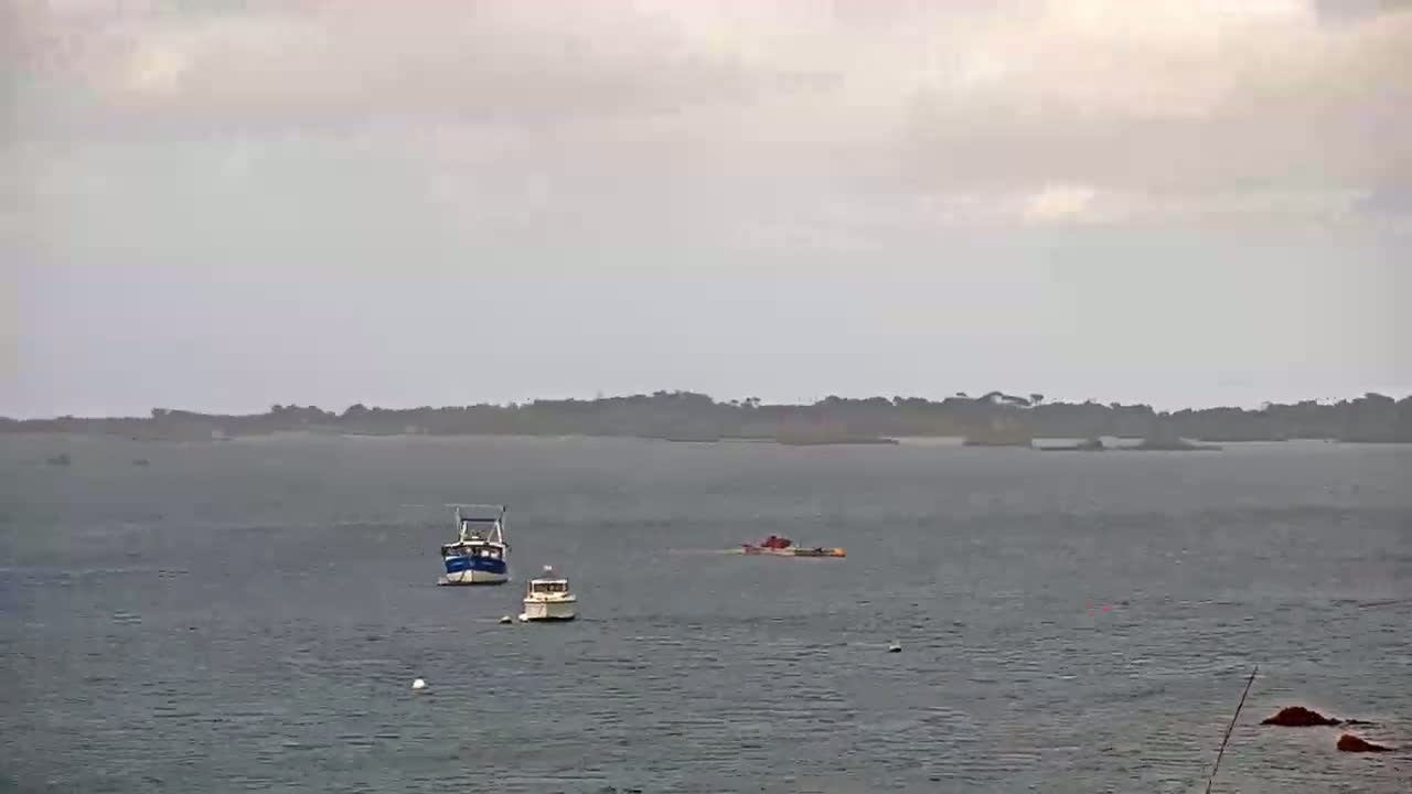 Three boats are on a body of water under an overcast sky, with a distant tree-lined shore visible in the background.