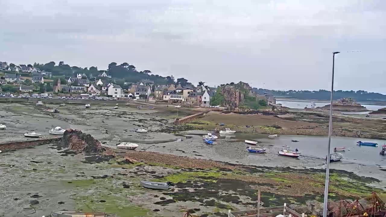 A coastal town with numerous boats in a harbor at low tide under an overcast sky.