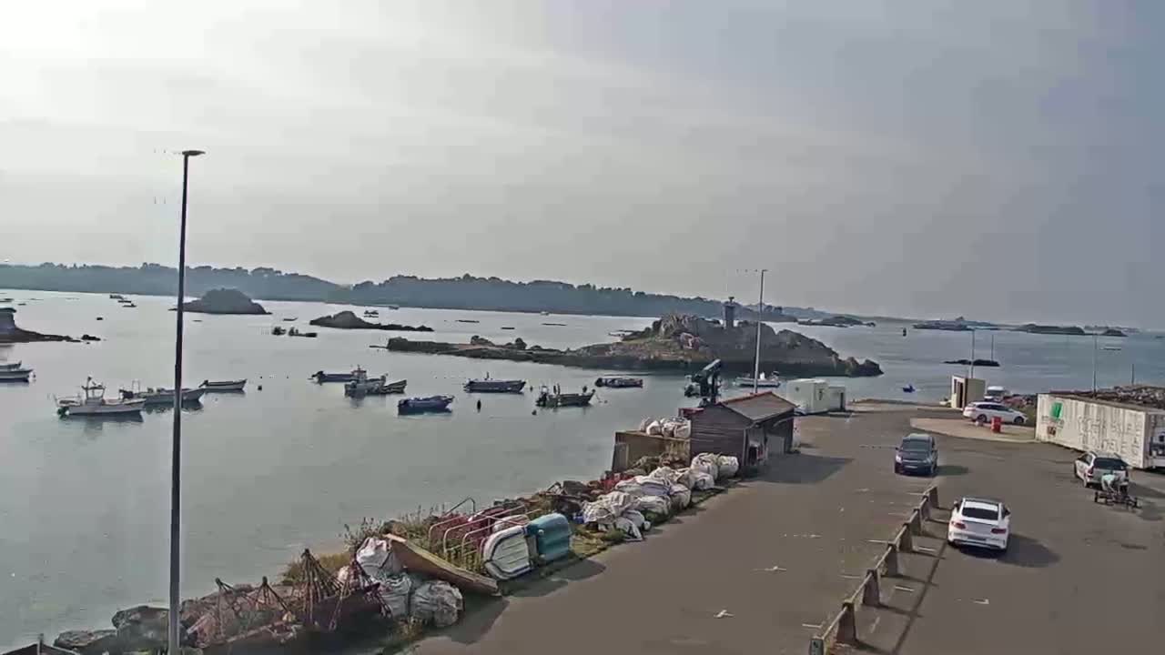 A calm, hazy day shows a harbor filled with small fishing boats near a rocky shoreline, with several cars parked in a lot nearby.
