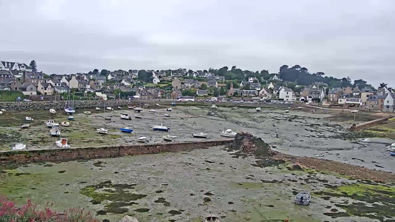 Numerous small boats sit in a harbor's mostly exposed mudflats, with a town of houses and buildings situated on a hill overlooking the harbor under an overcast sky.