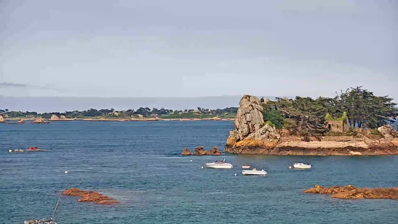 A calm, blue body of water surrounds a small, rocky island with a few trees and a small structure, while several boats are anchored nearby.