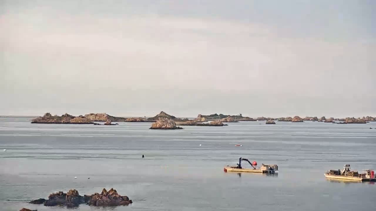 Ploubazlanec, Loguivy Village & Coast Live Cam - Guingamp, Côtes-d'Armor, 	Bretagne, France