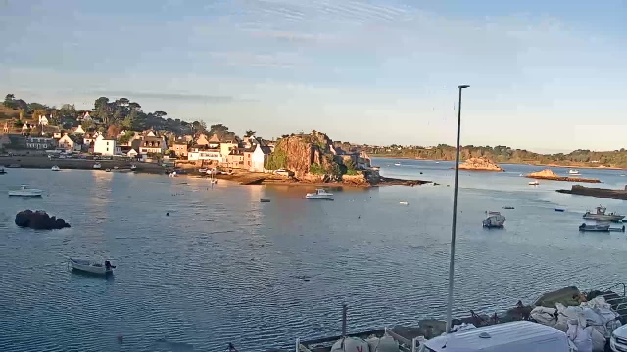 A tranquil bay with numerous boats is overlooked by a charming coastal village nestled on a tree-covered hillside, all bathed in soft sunlight under a mostly clear blue sky.