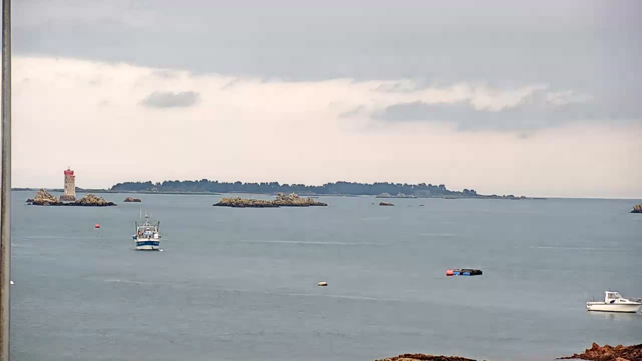 An overcast day reveals a bustling coastal harbor featuring numerous boats on the water, a paved dock crowded with parked vehicles and piles of white bags, and rocky islets scattered across the bay.