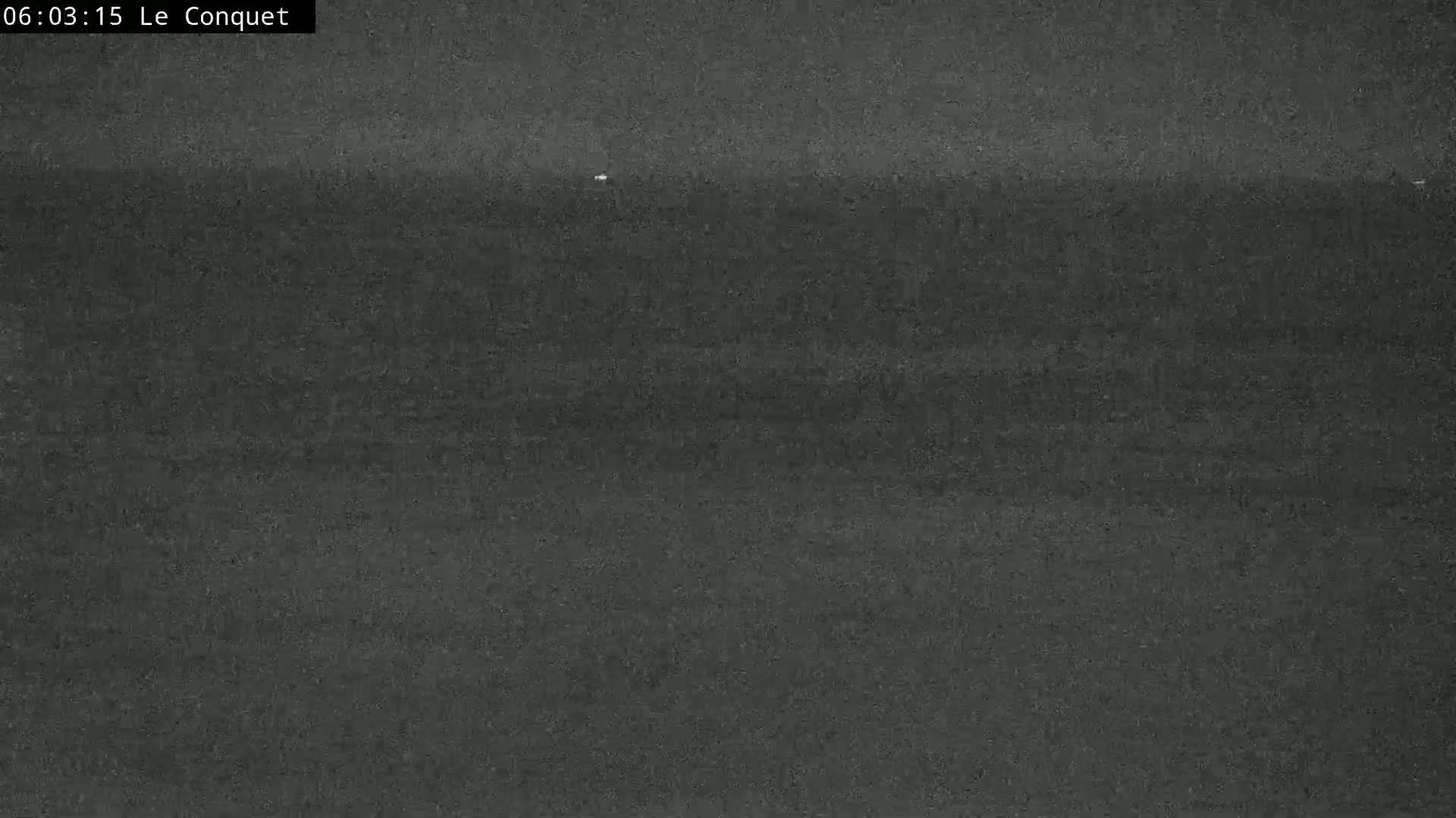 A dark gray, possibly asphalt, surface is visible under low-light conditions.