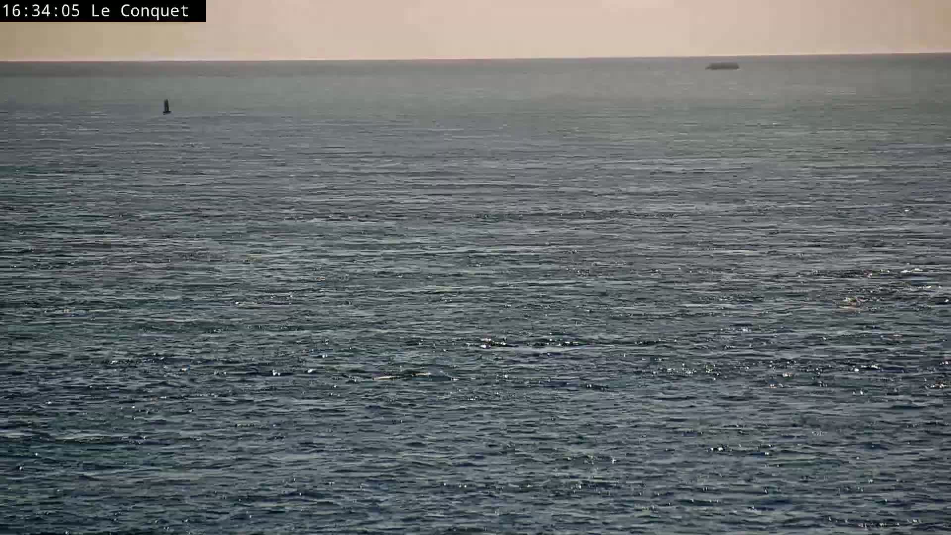 A mostly calm, dark-blue ocean is visible with a small island or vessel in the distance and a single buoy closer to the viewer.