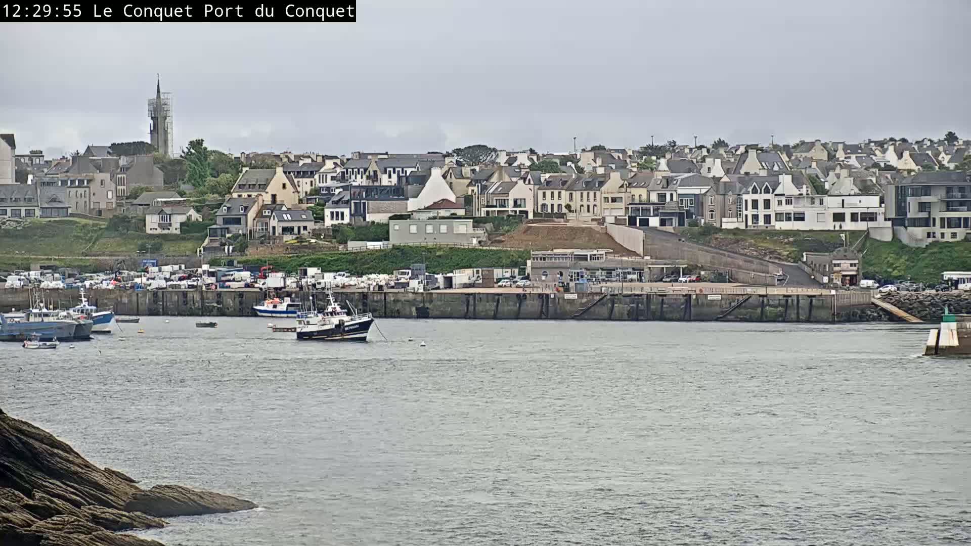 A harbor filled with several fishing boats is situated in front of a town under an overcast sky.