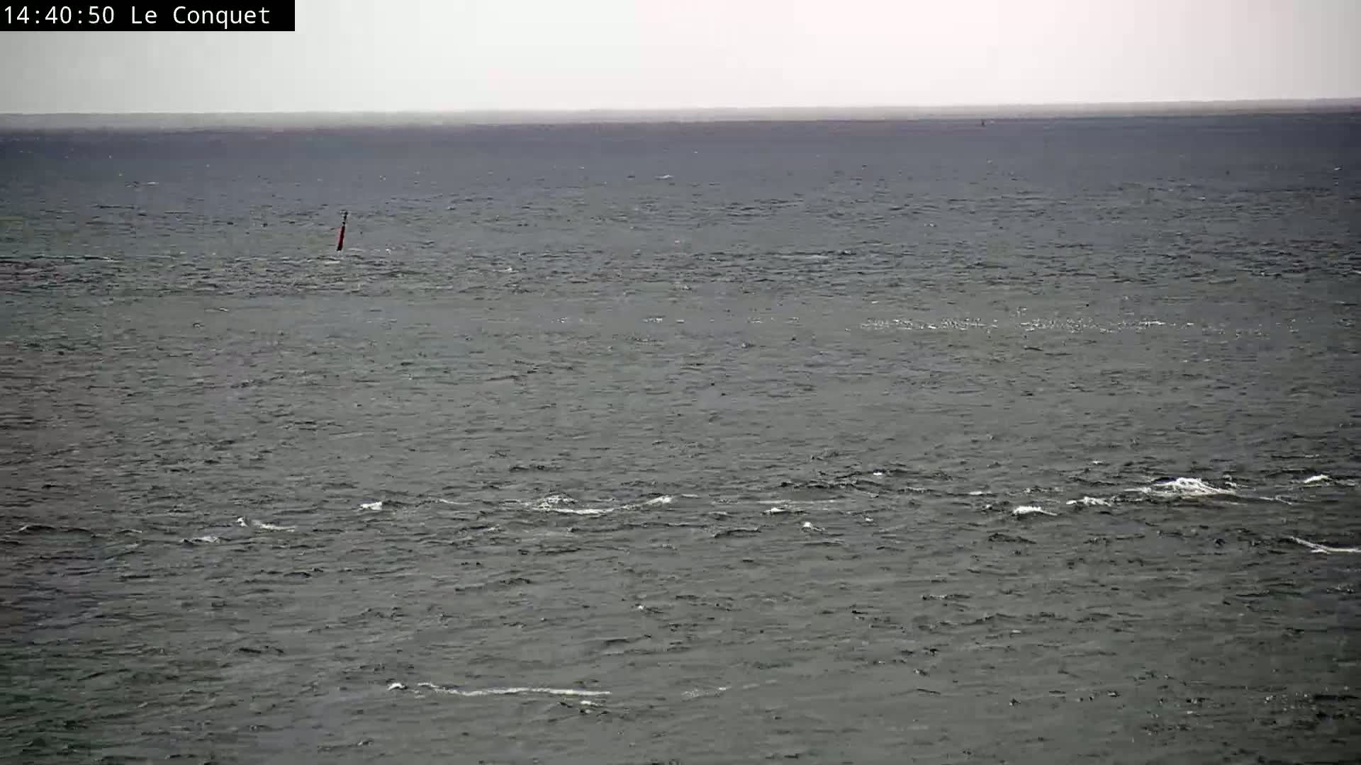 A body of water with small waves under an overcast sky shows a single marker in the distance.
