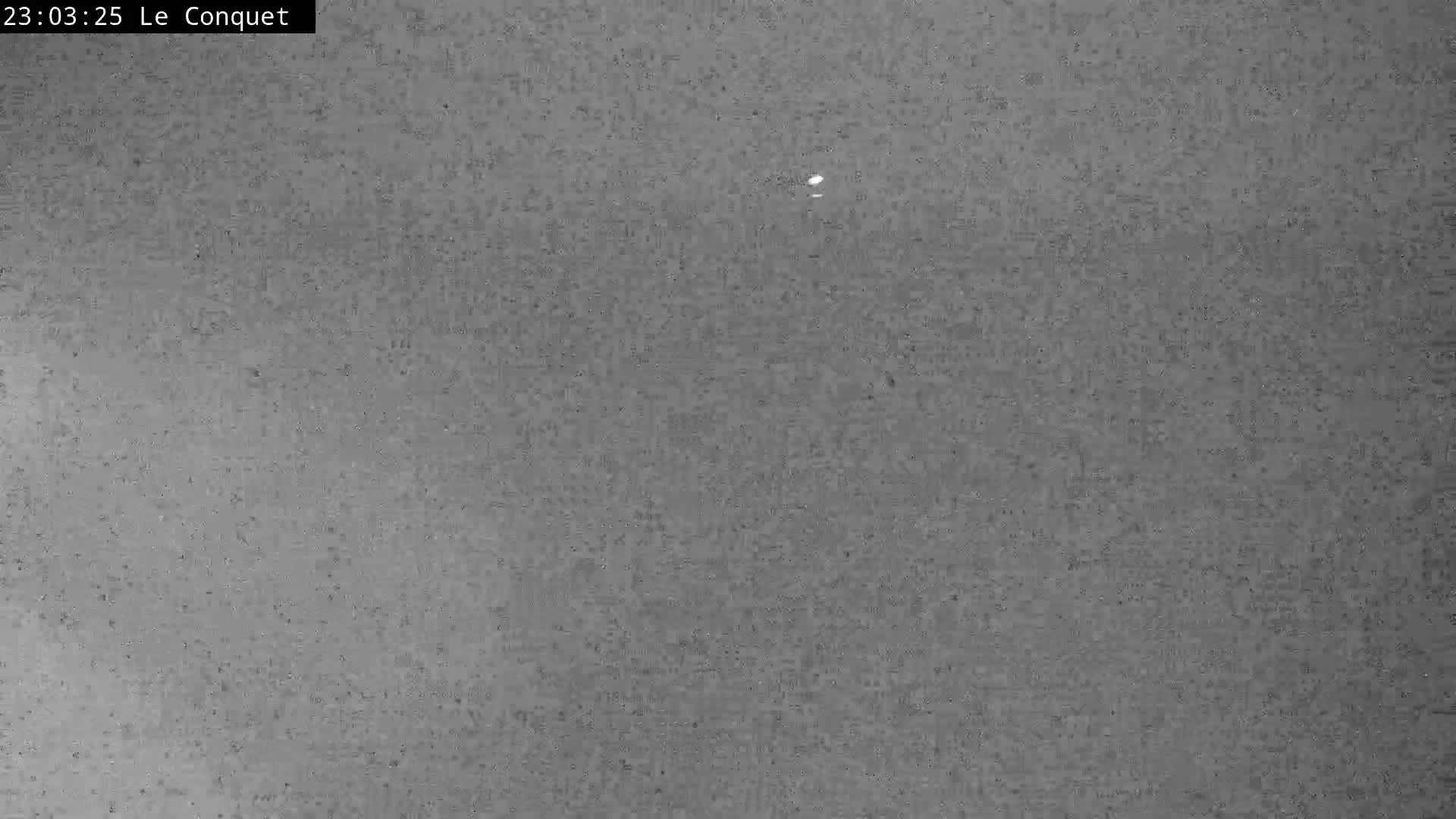 A grainy, dark gray image shows a mostly uniform surface with a few lighter specks.