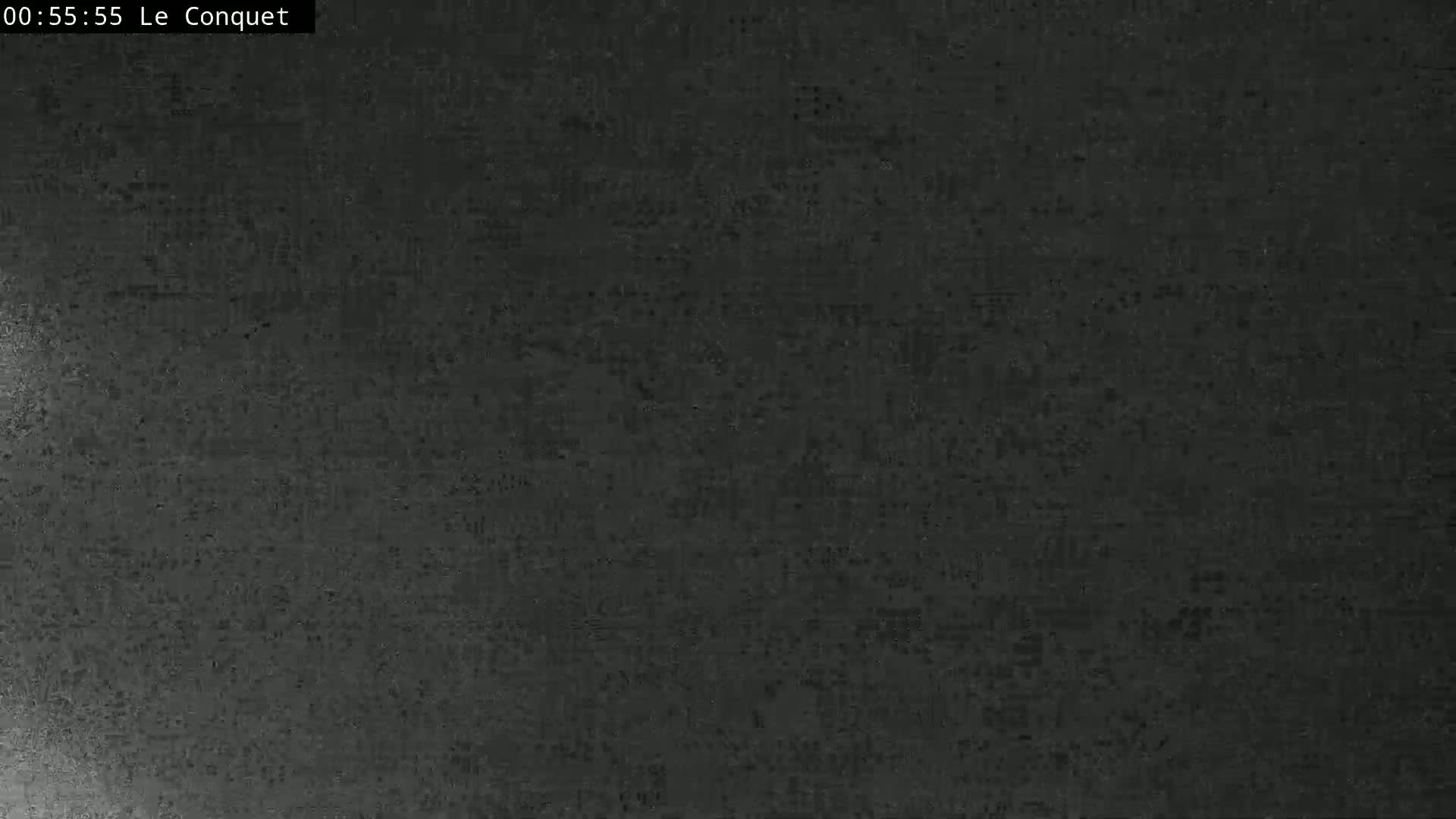A dark gray, textured surface fills the image.