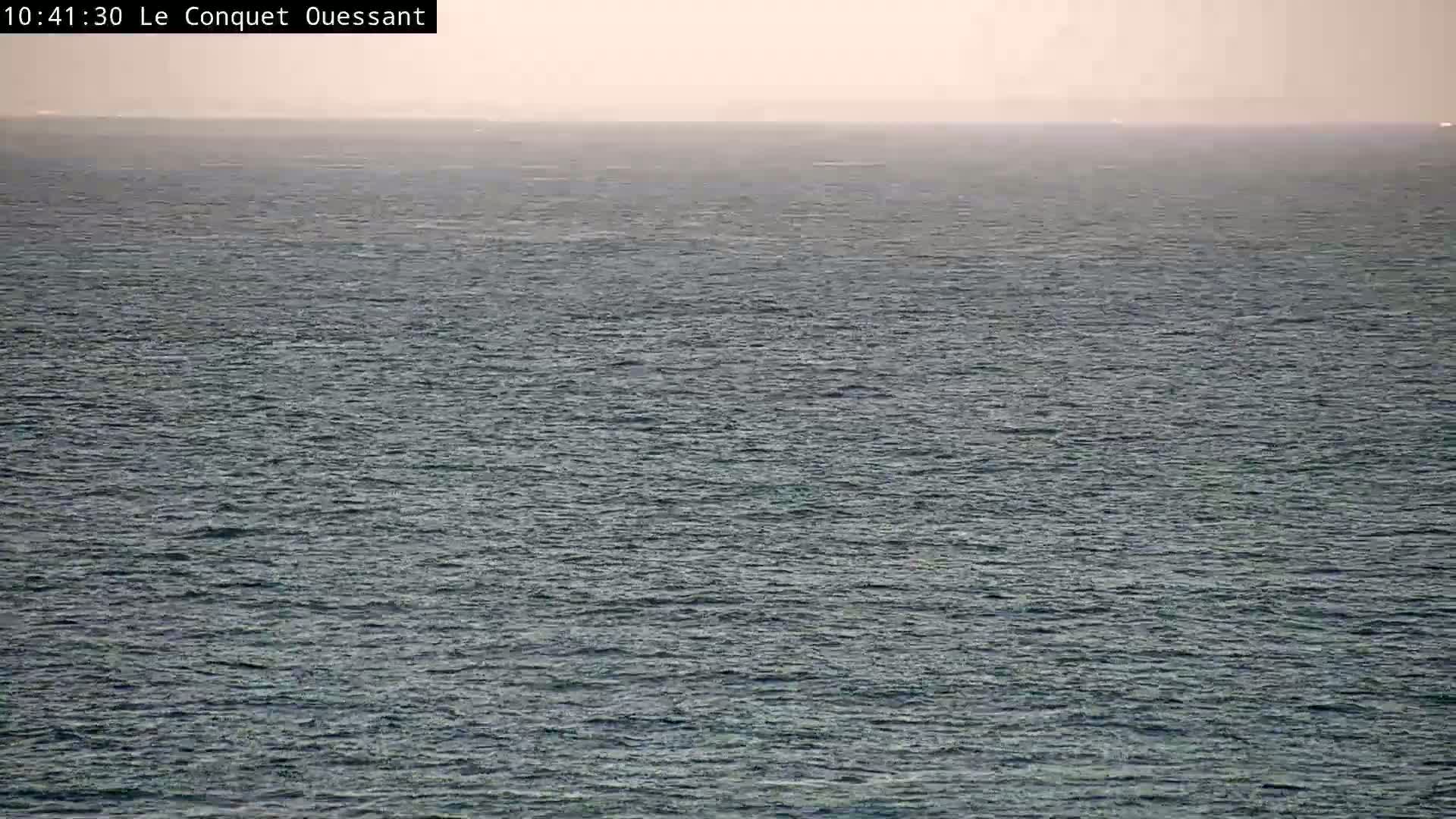 A mostly calm, gray-blue ocean stretches to a hazy horizon under a light, overcast sky.