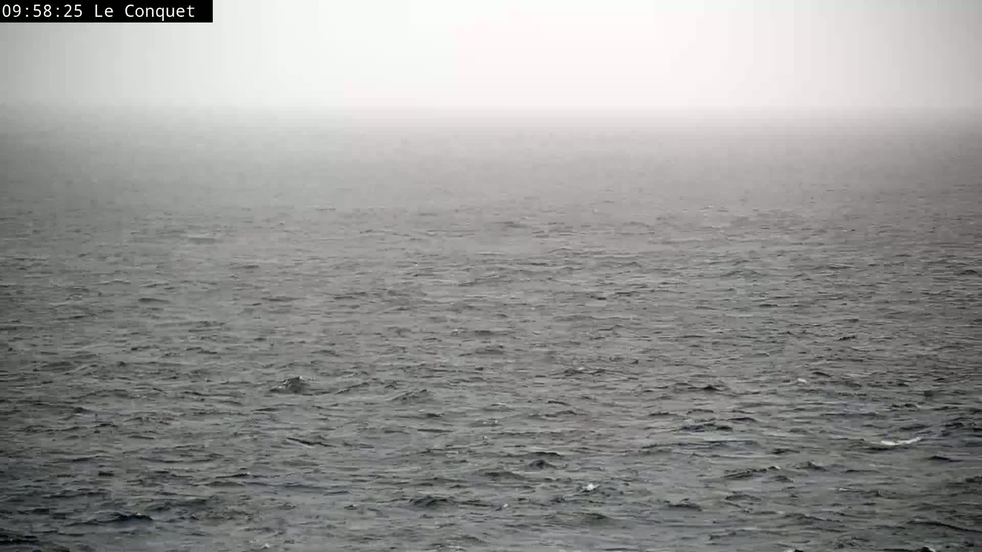 A grey, foggy ocean with small waves is visible.