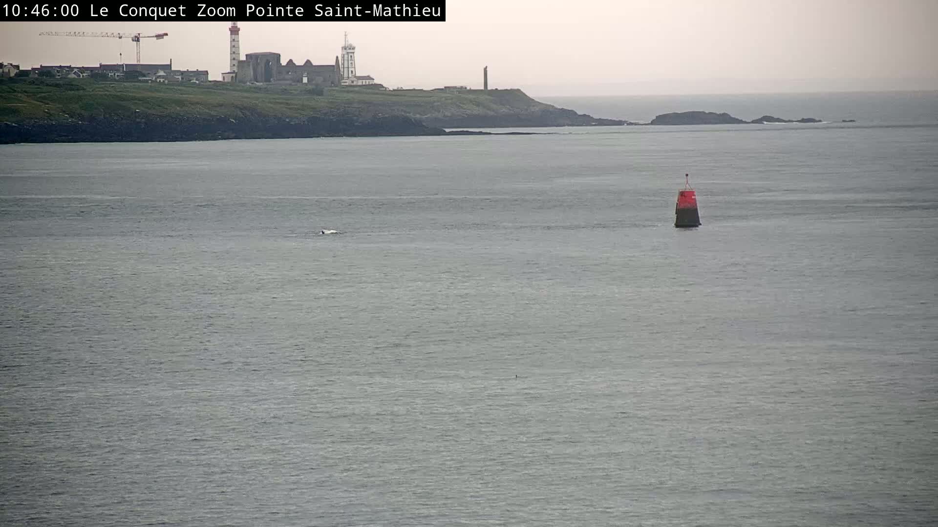 A calm, gray ocean with a small red and black buoy and a distant coastline featuring a lighthouse and buildings under an overcast sky.