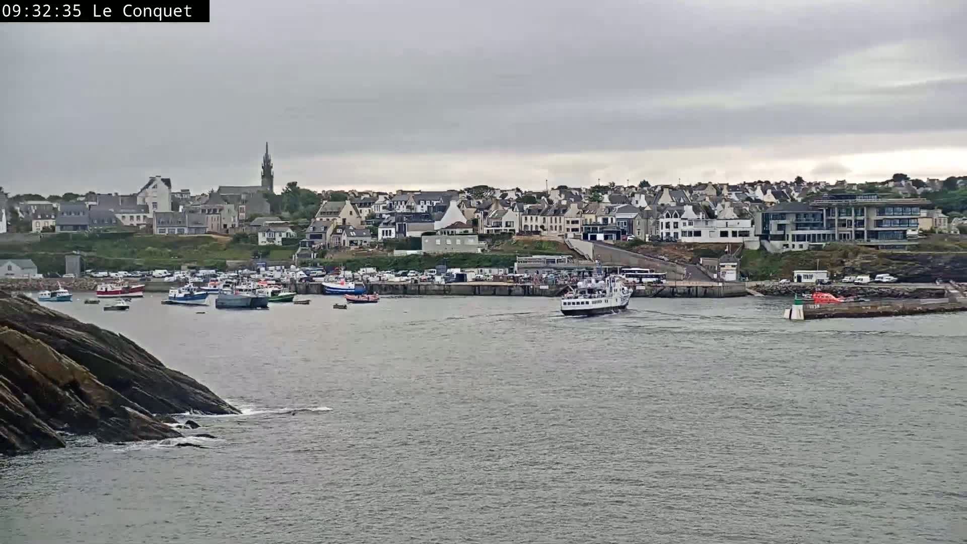 A harbor filled with numerous boats is situated in front of a town under an overcast sky.