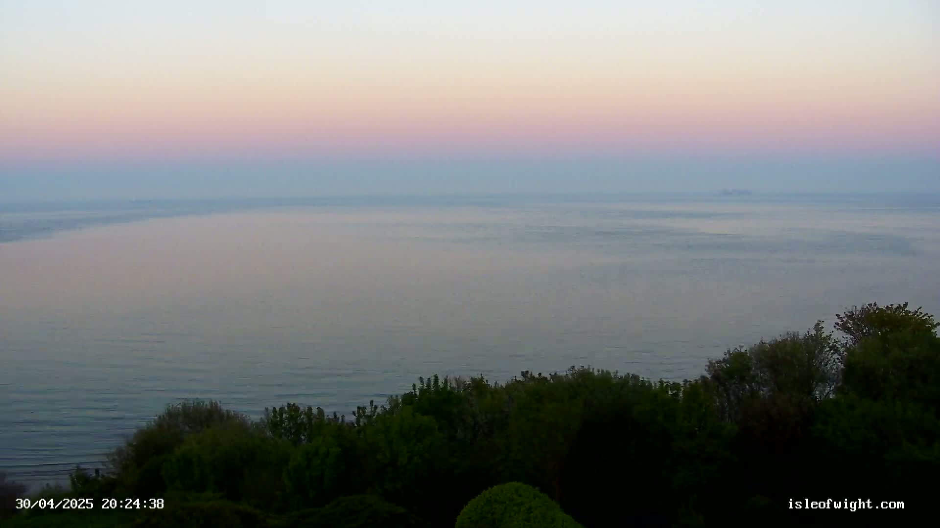 A calm sea under a hazy, pastel-colored sunset is viewed from a high vantage point overlooking a dark green line of trees.