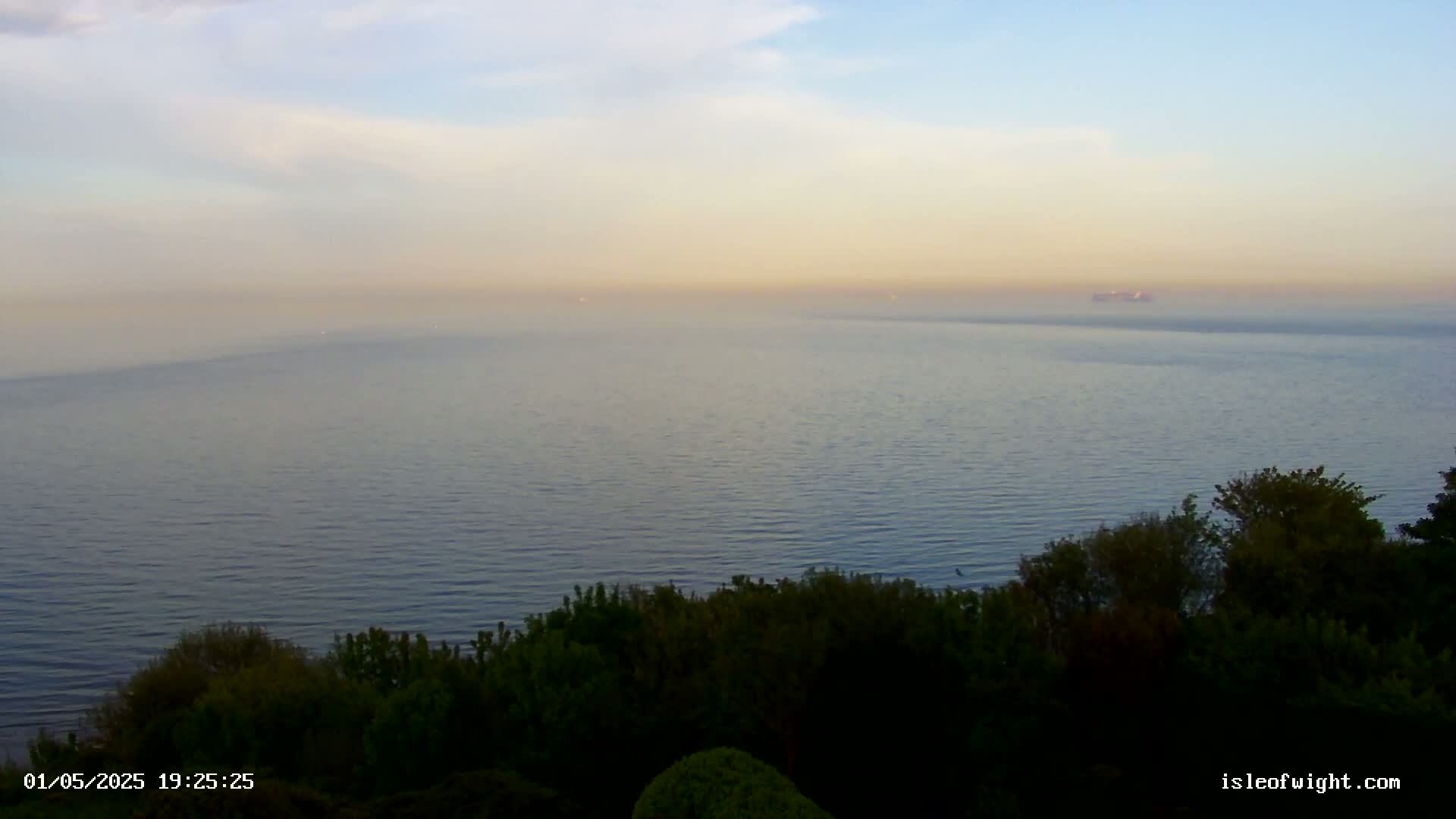 A calm, hazy ocean stretches to a pale horizon under a mostly clear sky, viewed from a vantage point above dark green foliage.