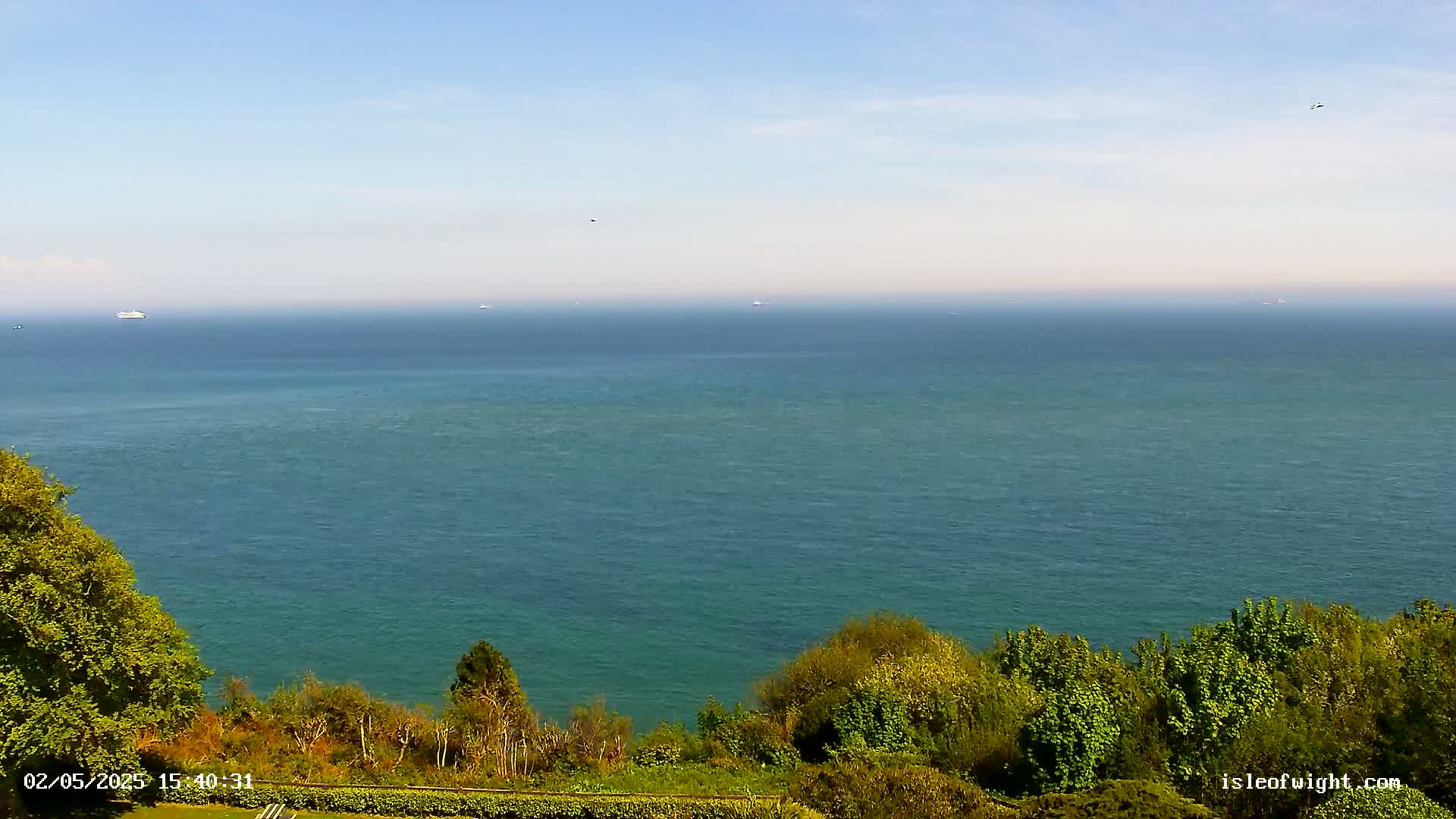 A vast, teal ocean stretches to the horizon under a clear, bright sky, viewed from a verdant hillside.