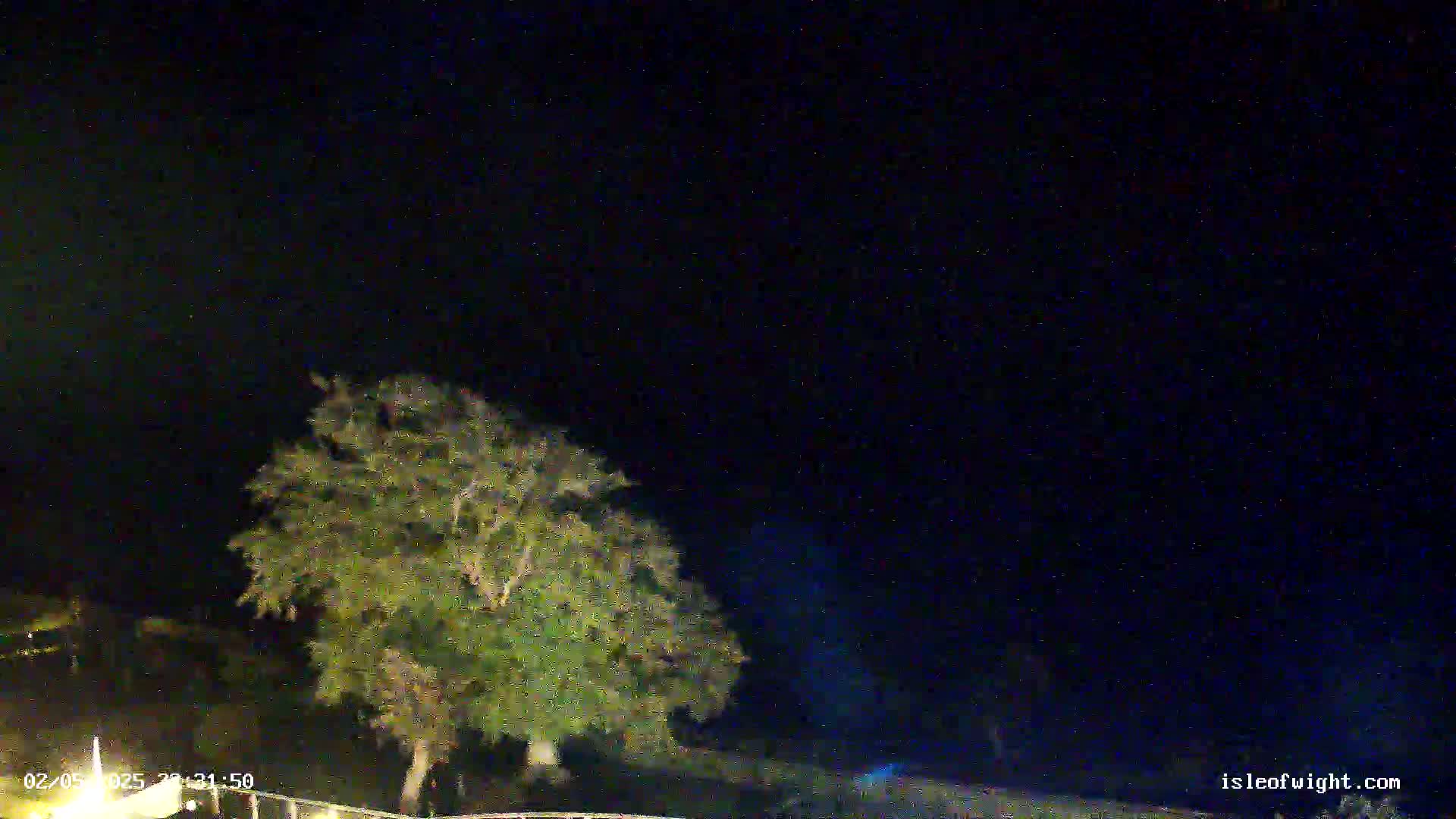 A large tree stands in the foreground under a clear, dark night sky.