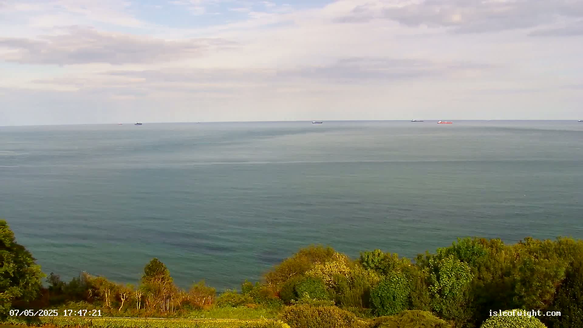 A calm, mostly cloudy day overlooks a tranquil ocean with several distant ships, viewed from a verdant cliffside.
