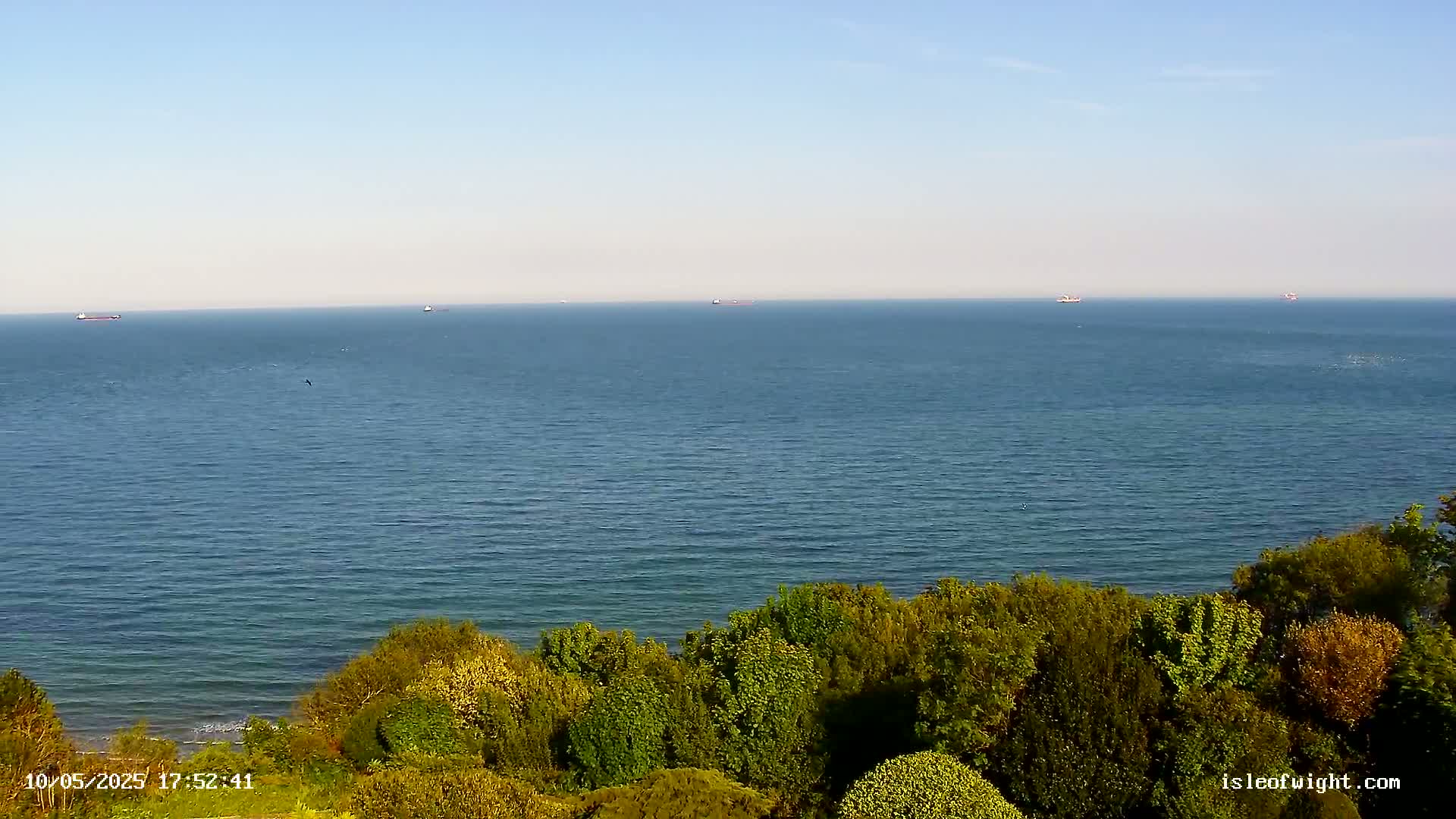 A calm, blue sea stretches to the horizon, where several ships are visible, with green vegetation bordering the water in the foreground under a clear sky.