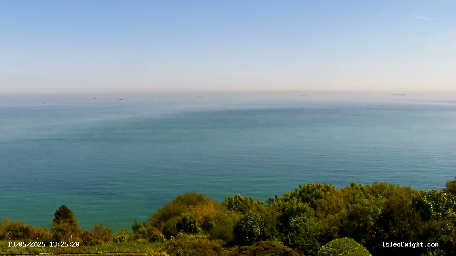 A calm, teal-colored ocean stretches to the horizon under a clear blue sky, with a line of green trees and shrubs visible in the foreground.