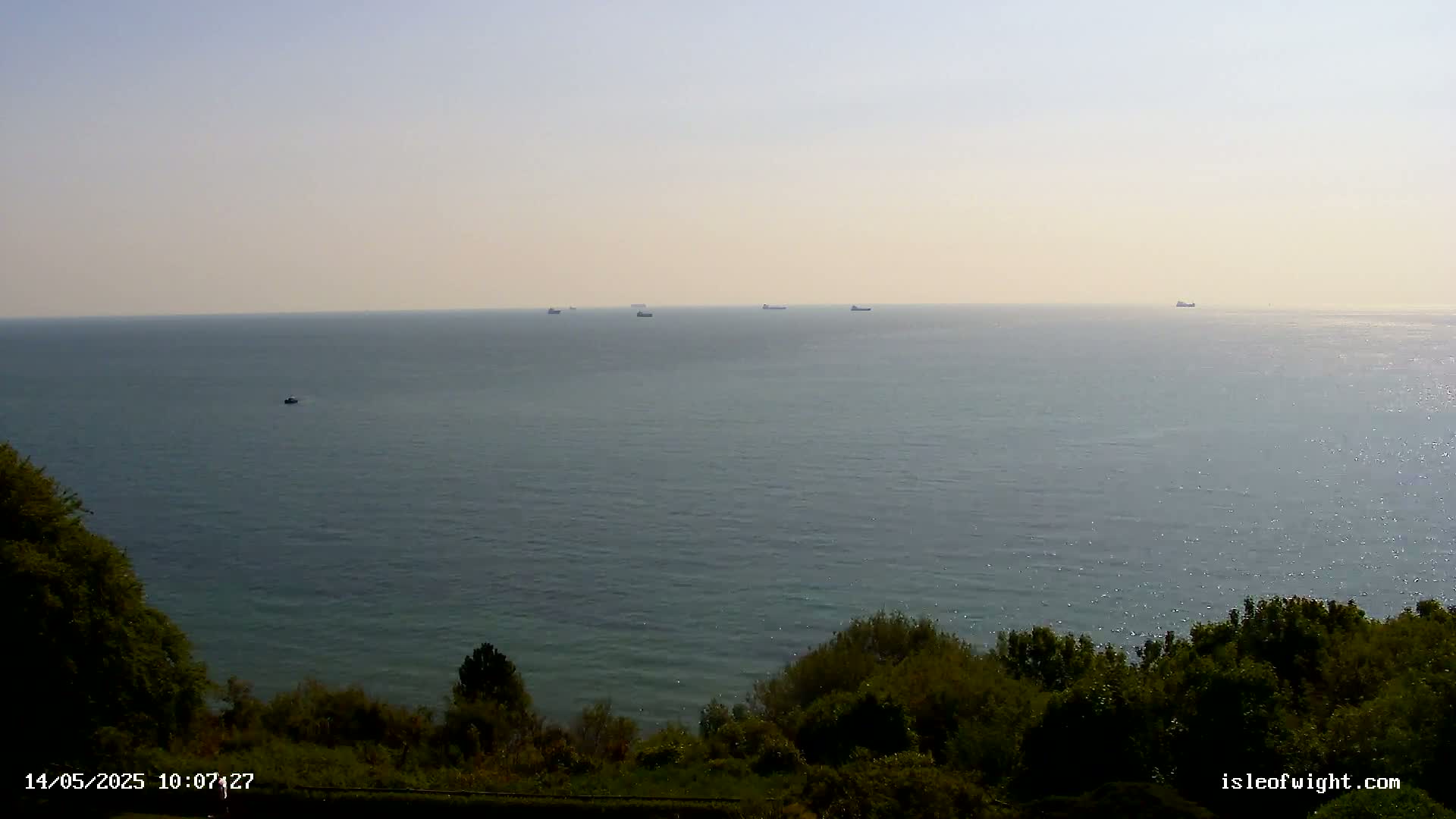 Several ships are visible on a calm, hazy ocean, viewed from a green, tree-lined coastal vantage point.