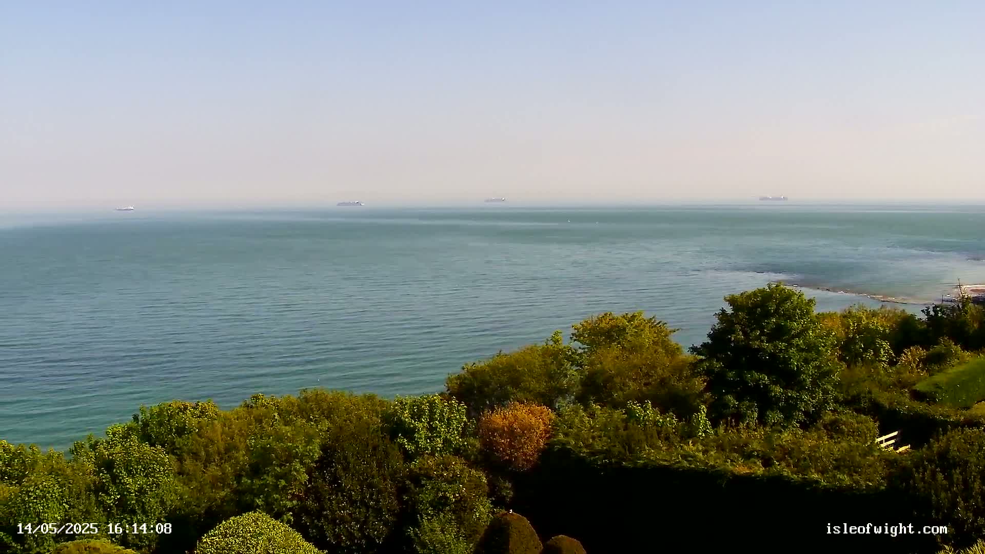 A hazy, sunny day reveals a calm ocean with several distant ships viewed from a high vantage point overlooking lush green foliage.