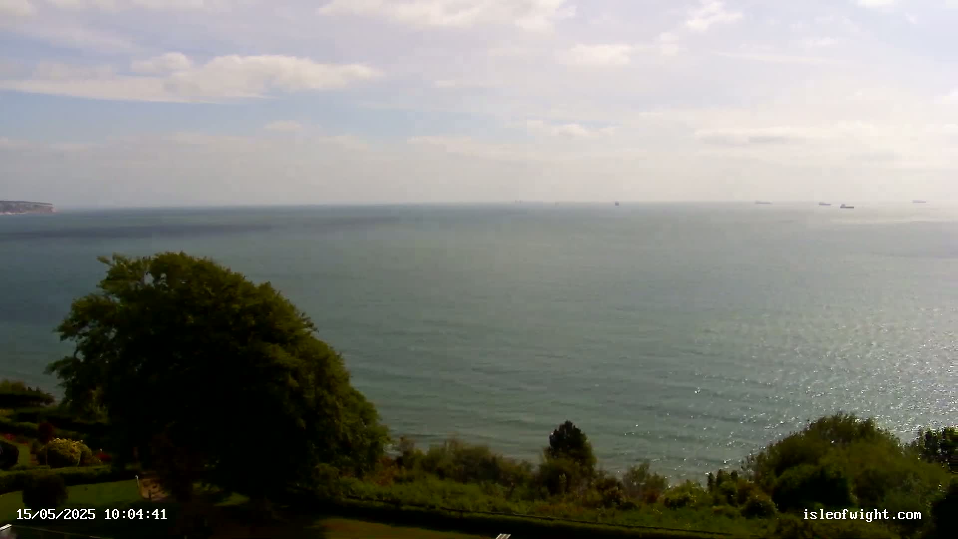 A mostly sunny day shows a view of a calm ocean with several distant ships, seen from a high vantage point with green vegetation in the foreground.