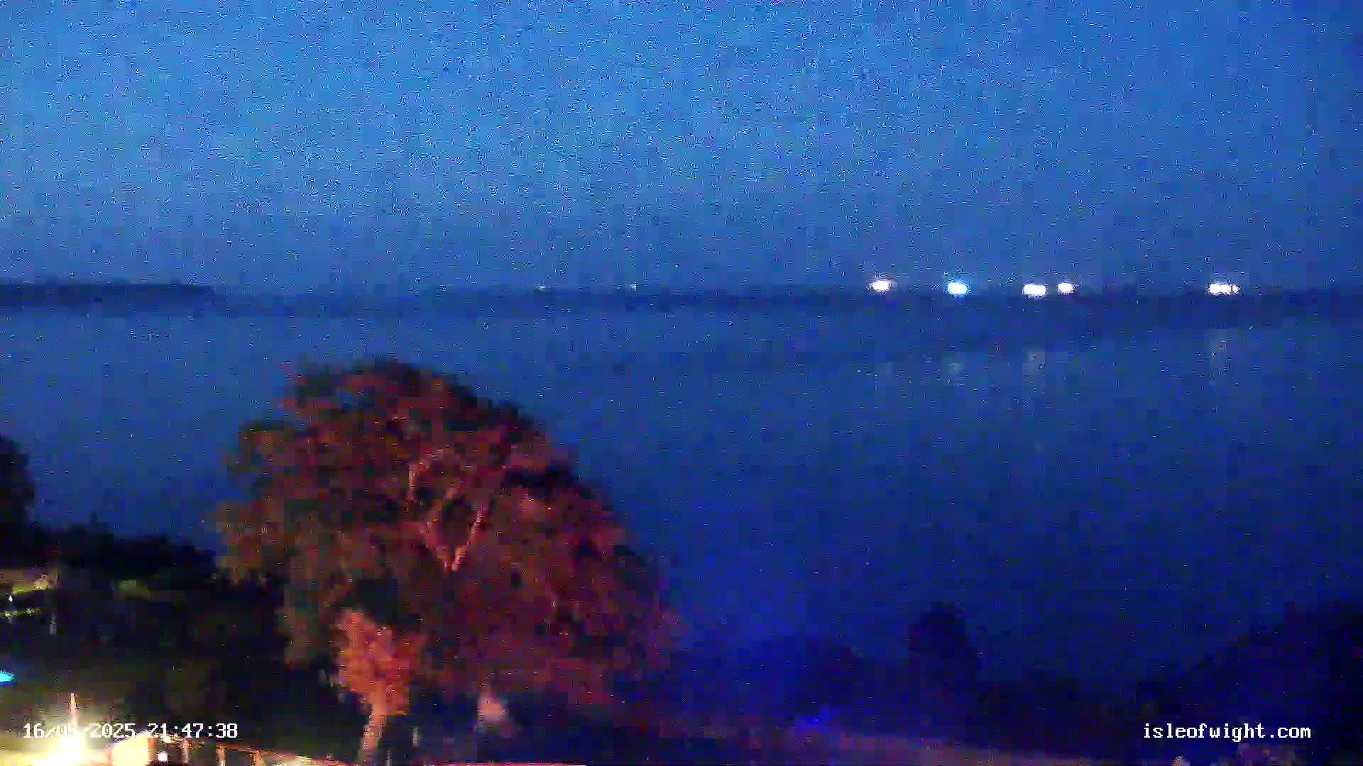 A dark, nighttime view shows a body of water with a few distant lights on the horizon, partially obscured by a tree in the foreground.