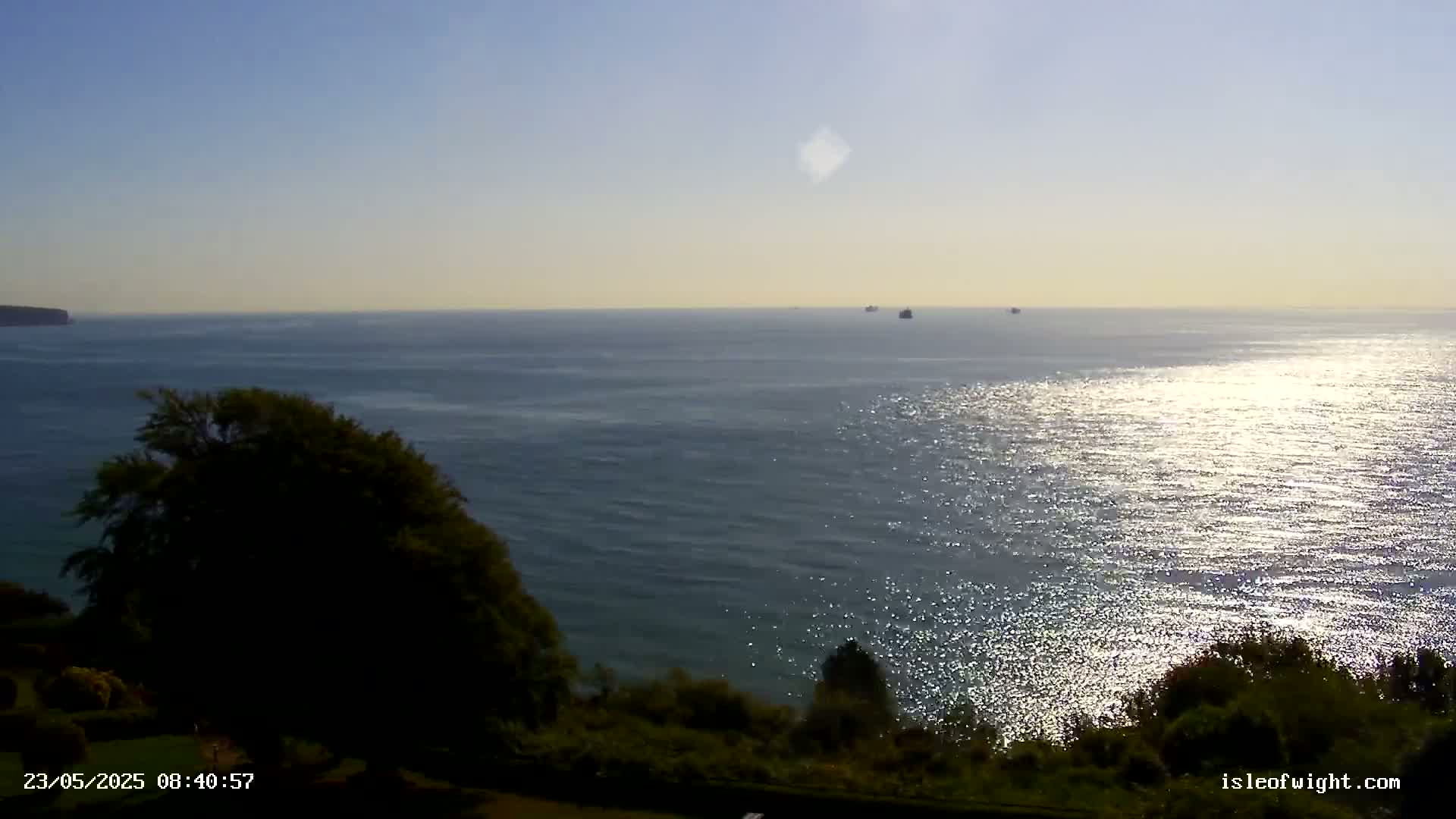 A calm, sunlit sea stretches to the horizon, with a few distant ships visible, viewed from a grassy coastal overlook with dark green trees.