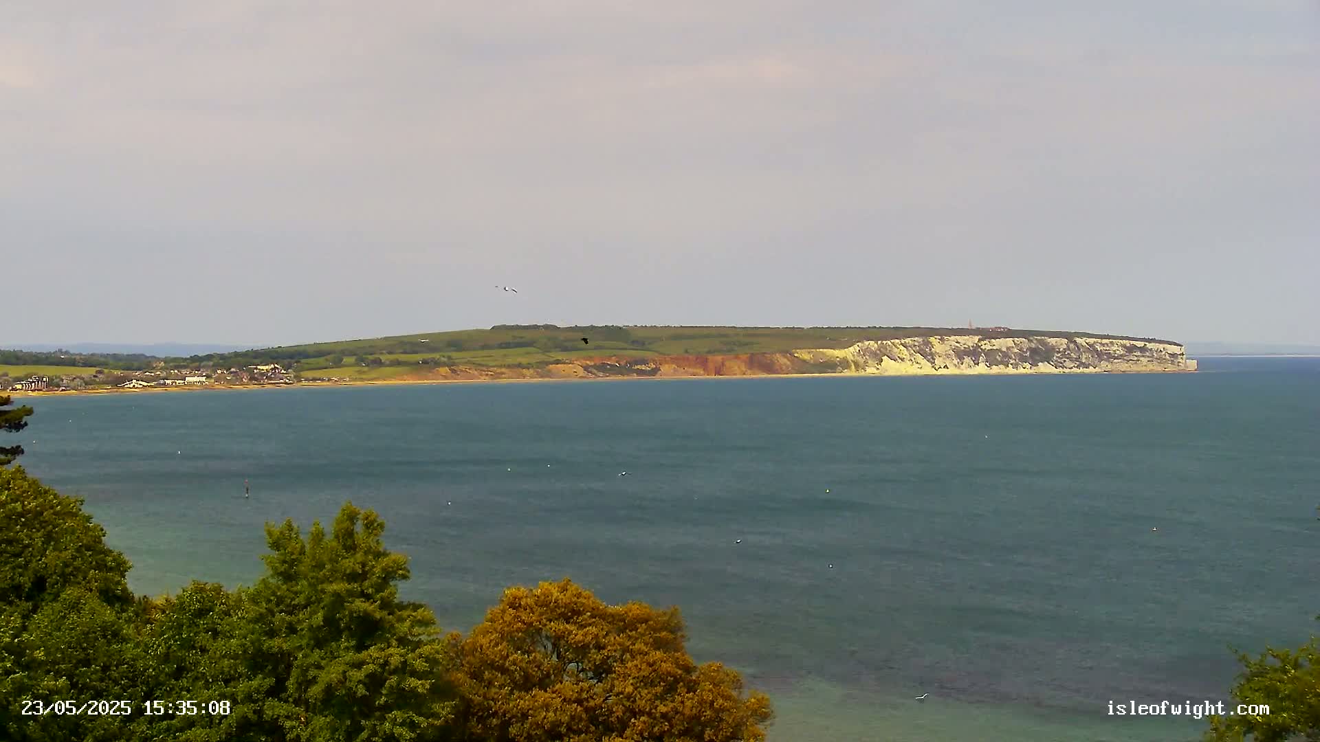 A calm, overcast day reveals a coastal scene with a body of water separating a distant landmass featuring cliffs from a closer shoreline with green trees in the foreground.