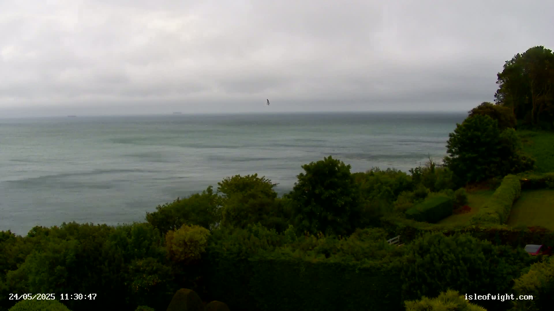 A calm, grey sea is visible from a verdant, tree-covered hillside under an overcast sky.