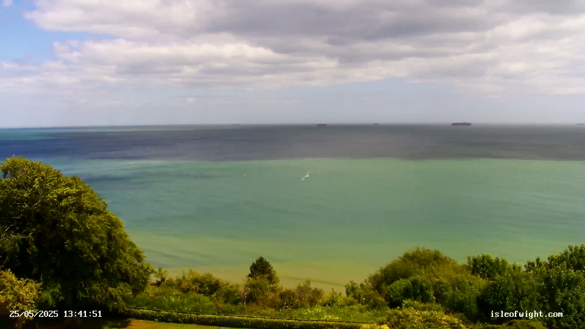 A partly cloudy day reveals a view of a calm, green-tinged ocean stretching to a darker horizon, partially obscured by lush green vegetation in the foreground.