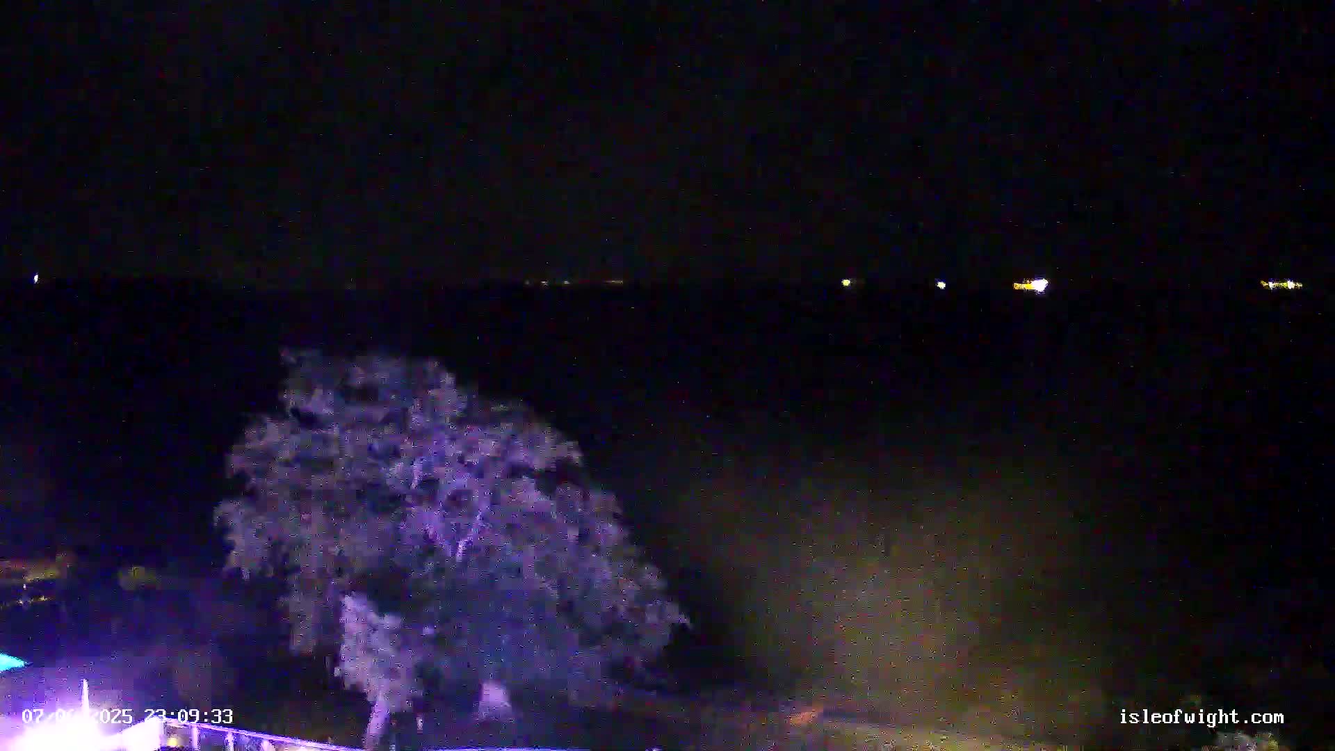 A nighttime view shows a large tree in the foreground and a dark body of water with faint lights in the distance under a clear, dark sky.