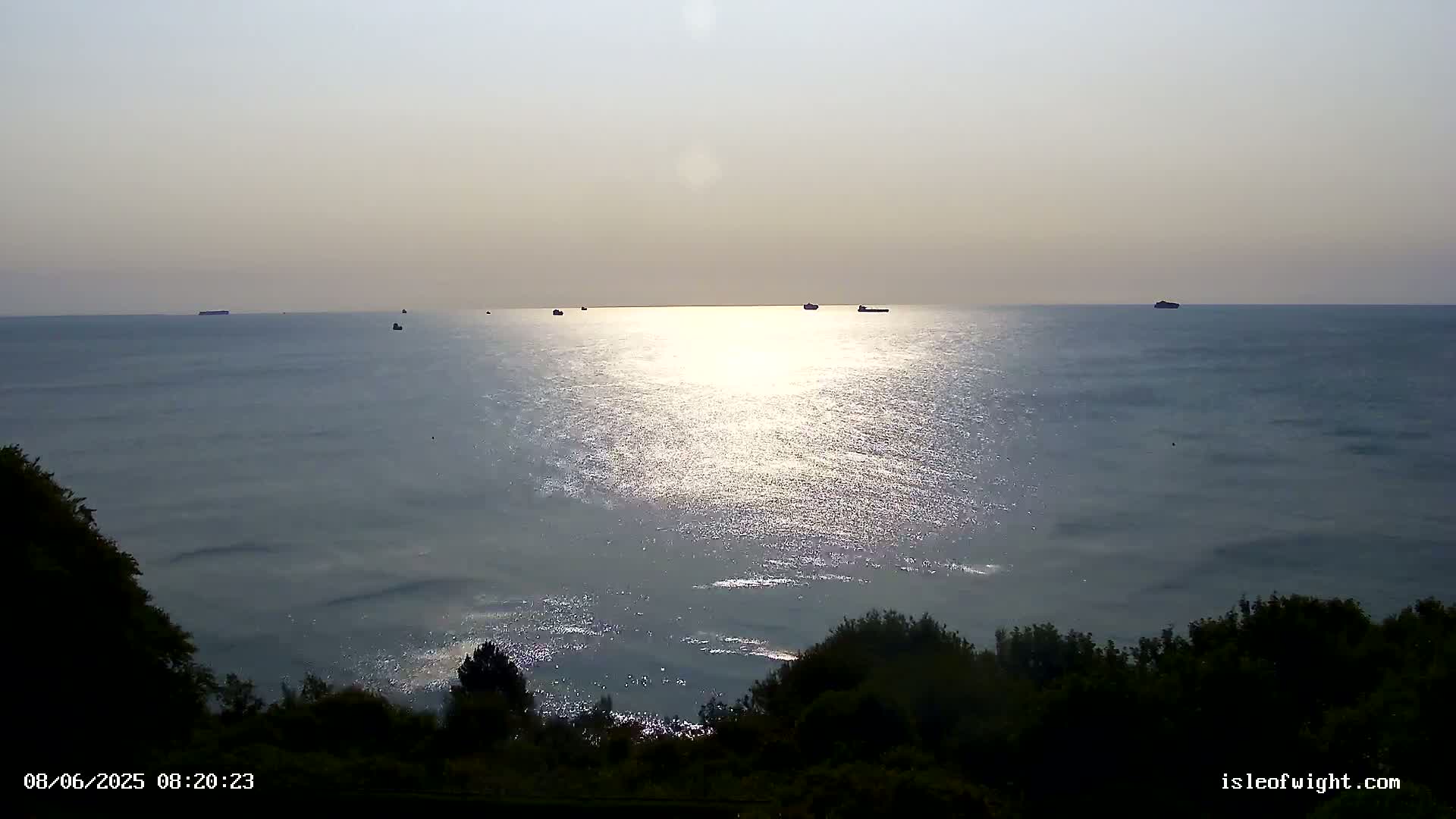 A calm, sunlit sea stretches to the horizon, with several ships visible in the distance, viewed from a vantage point above a line of dark green bushes.