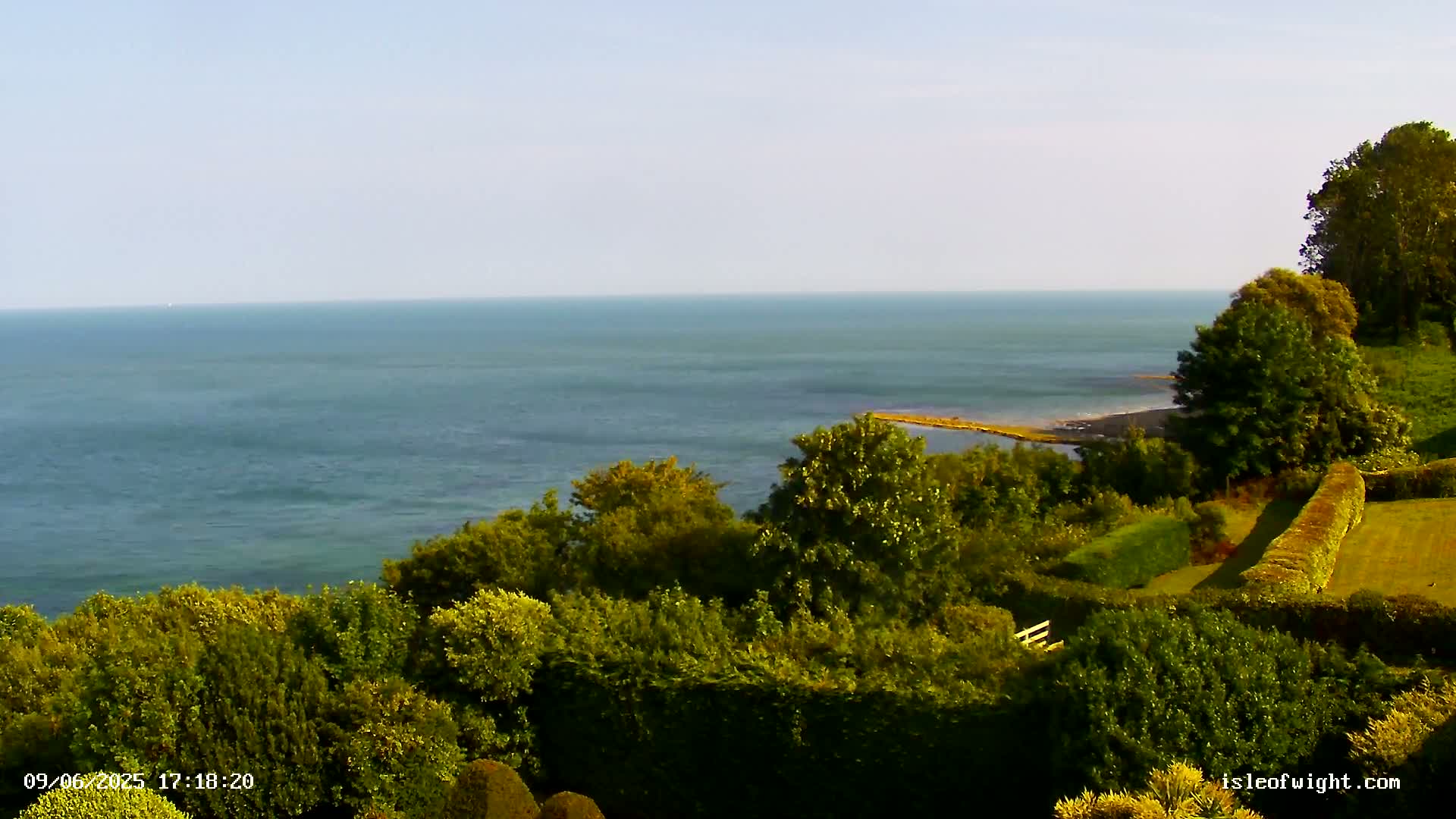 Lush green foliage atop a cliff overlooking a calm, blue sea on a clear day.