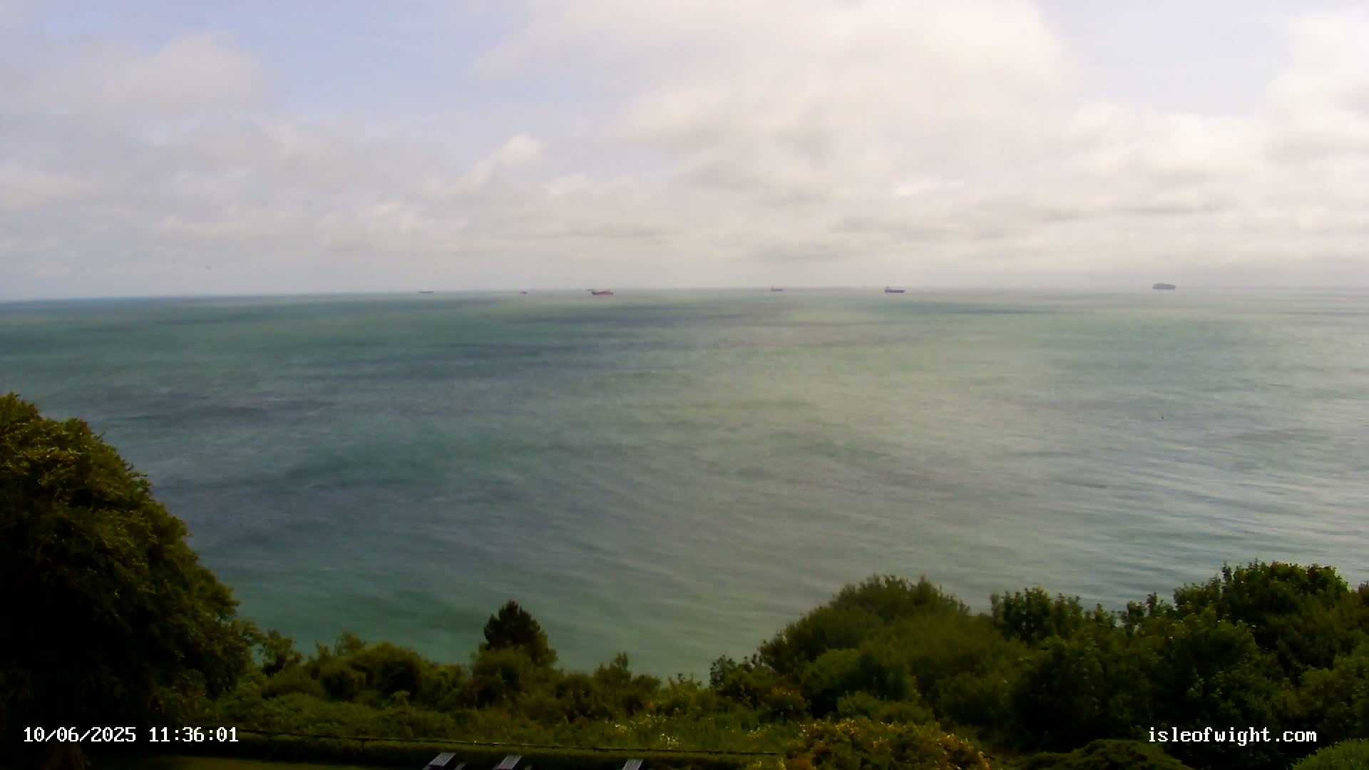 A view of a calm, somewhat overcast ocean with several distant ships, seen from a high vantage point overlooking green vegetation.