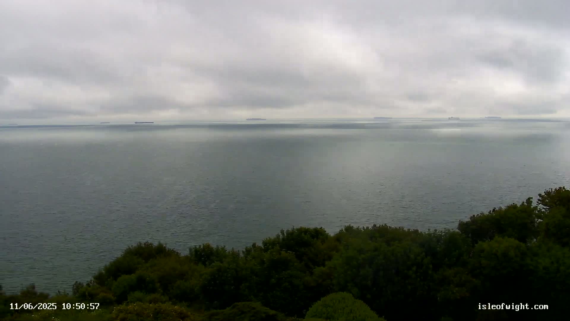 A wide shot of a calm body of water under an overcast sky, with a few ships visible in the distance and a line of trees in the foreground.