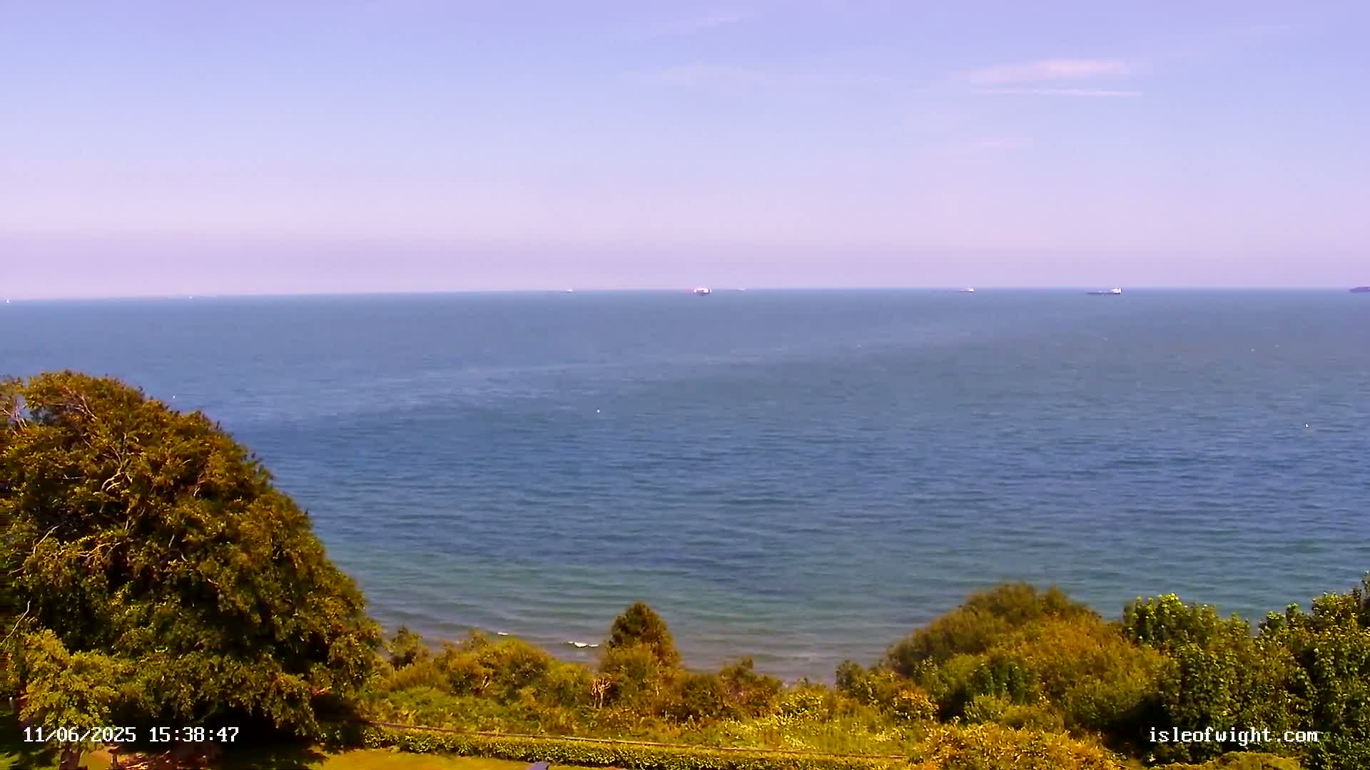 A tranquil ocean scene under a clear sky is viewed from a verdant hillside, with a few distant ships visible on the horizon.