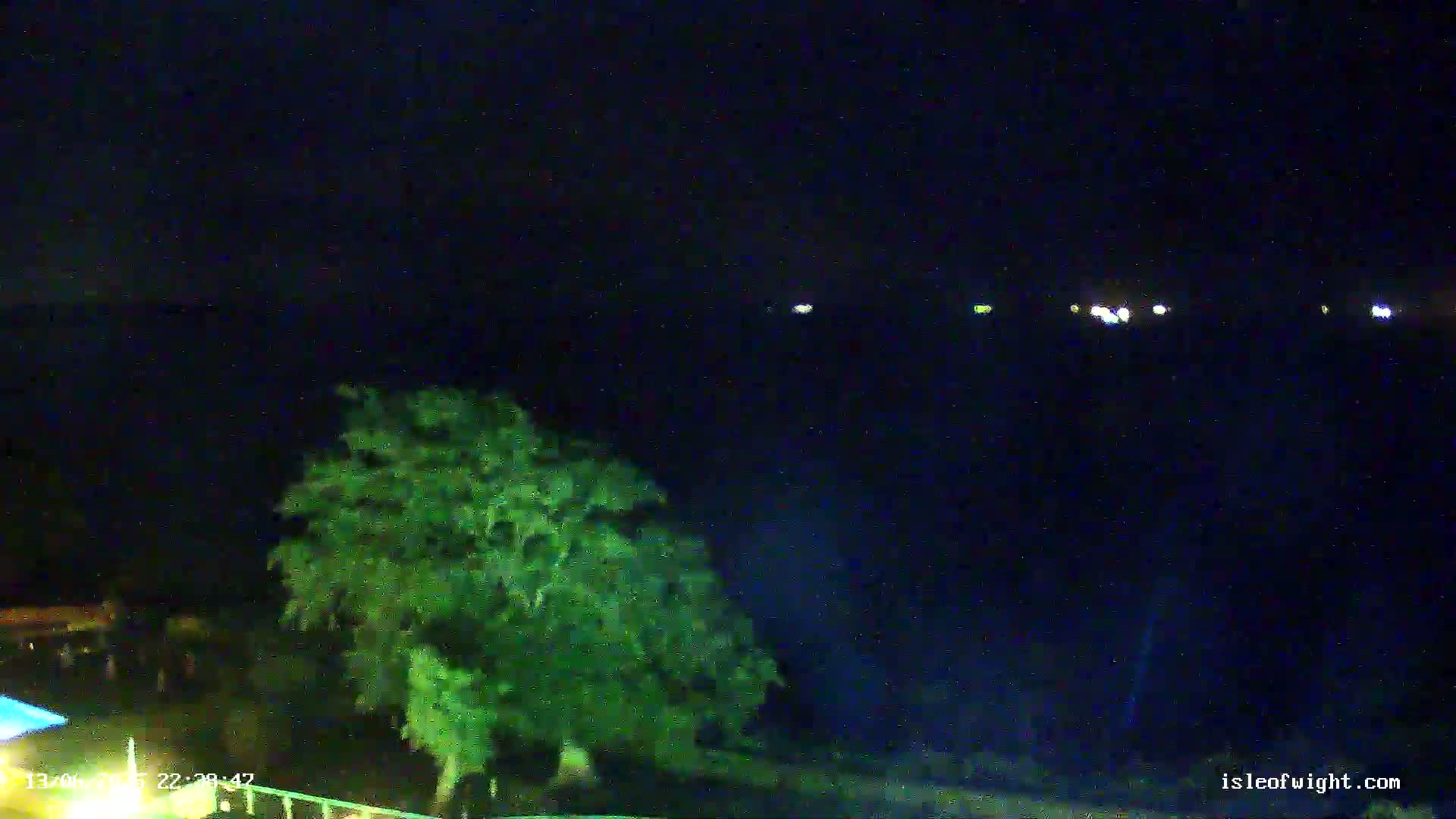 A nighttime view shows a dark body of water with distant lights and a green tree in the foreground.