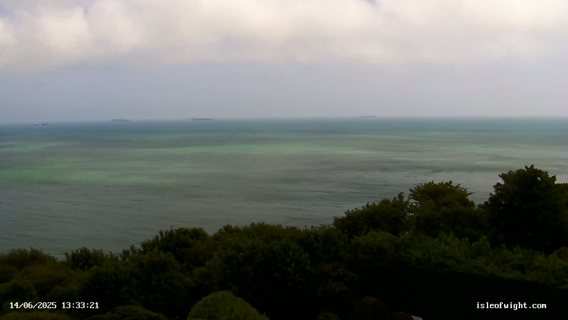A calm, overcast day reveals a view of dark-green ocean water with a few distant ships, observed from a vantage point above a line of dark green trees.