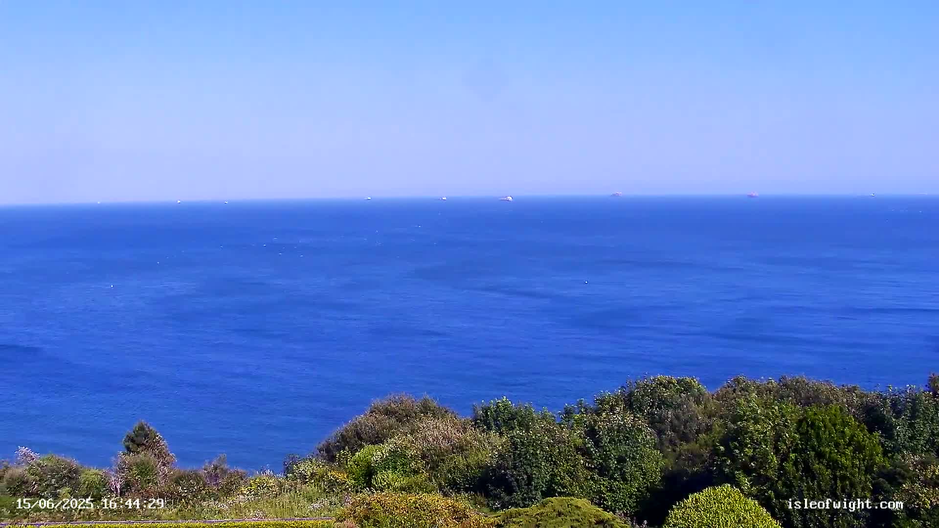 A vast, deep blue ocean stretches to the horizon under a clear, bright blue sky, with a few distant ships visible and green vegetation in the foreground.