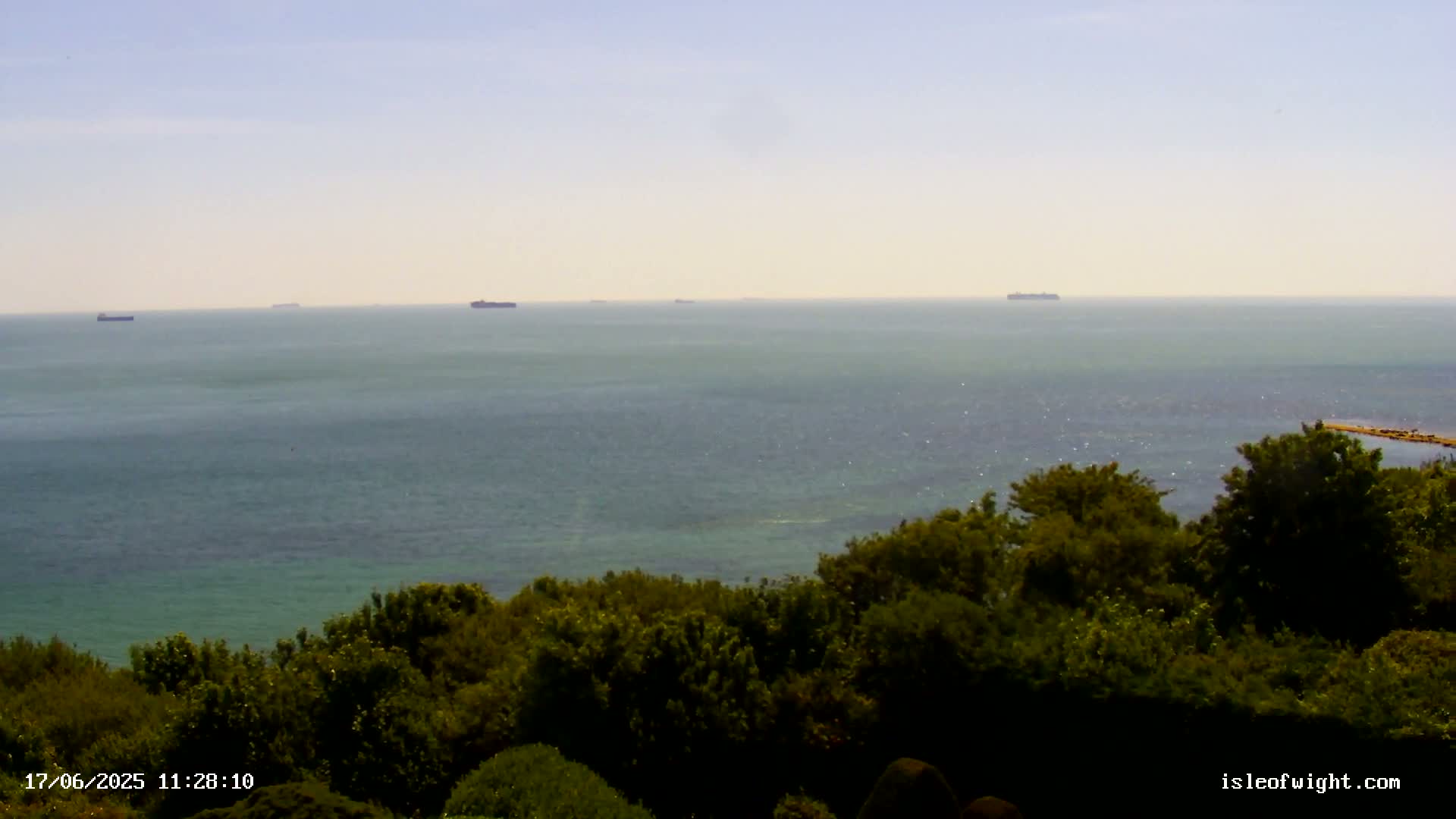 Several ships are visible on a calm, light-blue sea, viewed from a vantage point overlooking a lush green expanse of trees.